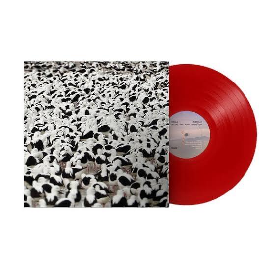Stella Donnelly – Flood (VINYL / NEW SEALED)