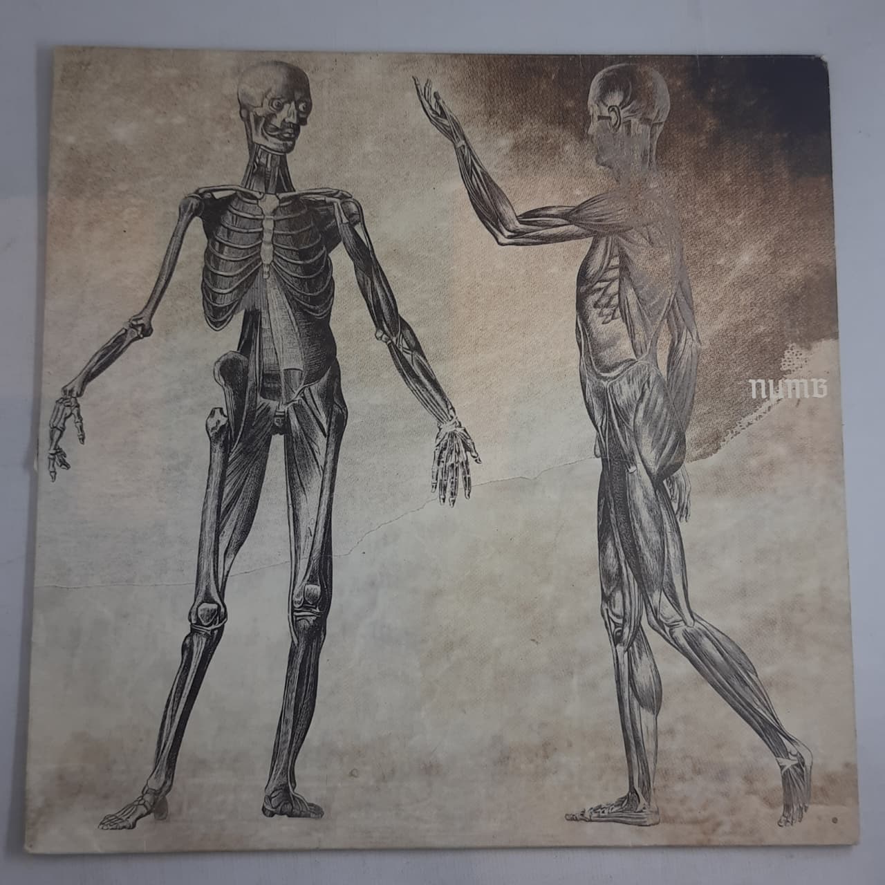 Numb – = Onore / ツ = Yotume (VINYL / USED)