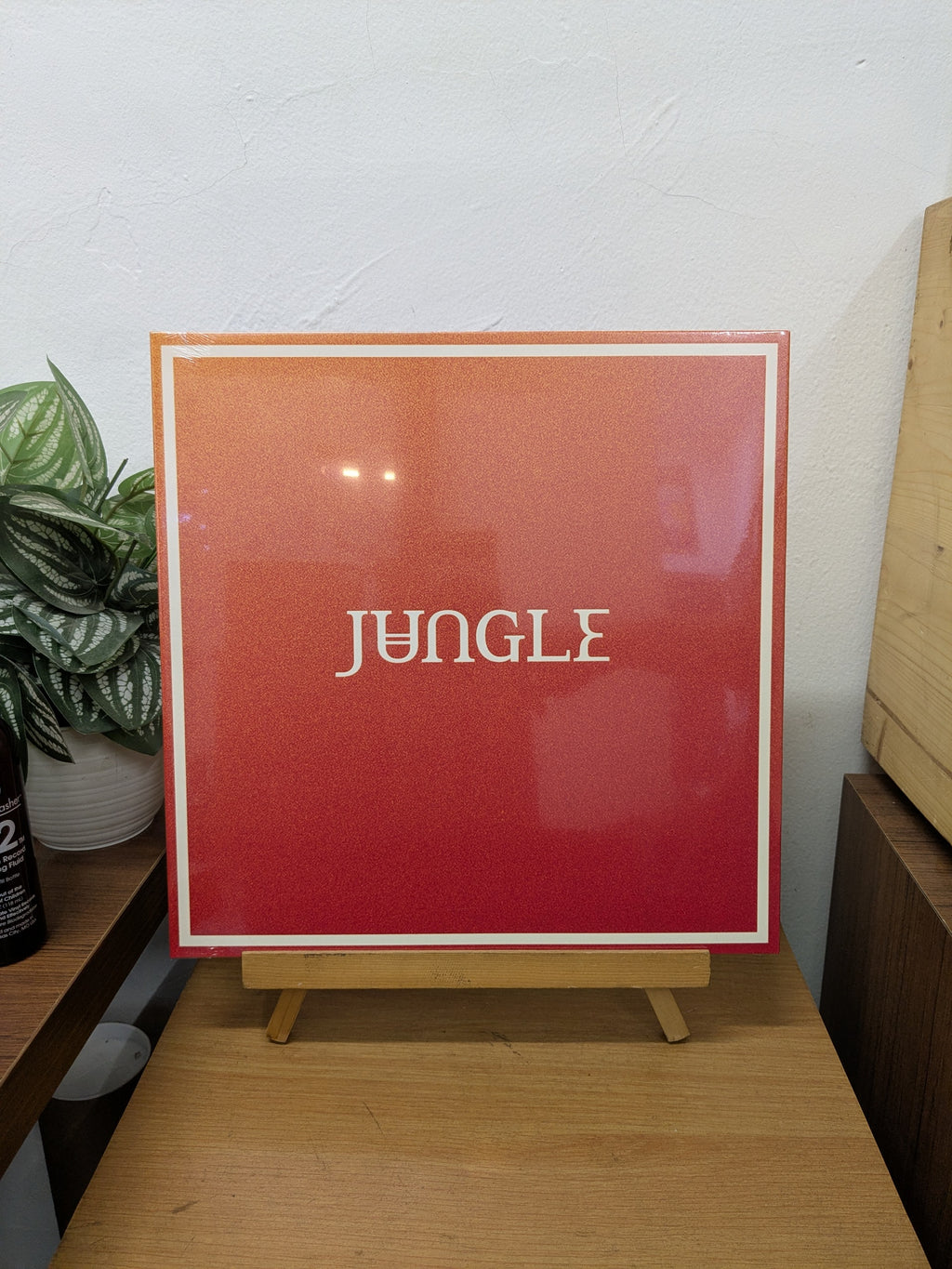 Jungle – Volcano (VINYL / NEW)
