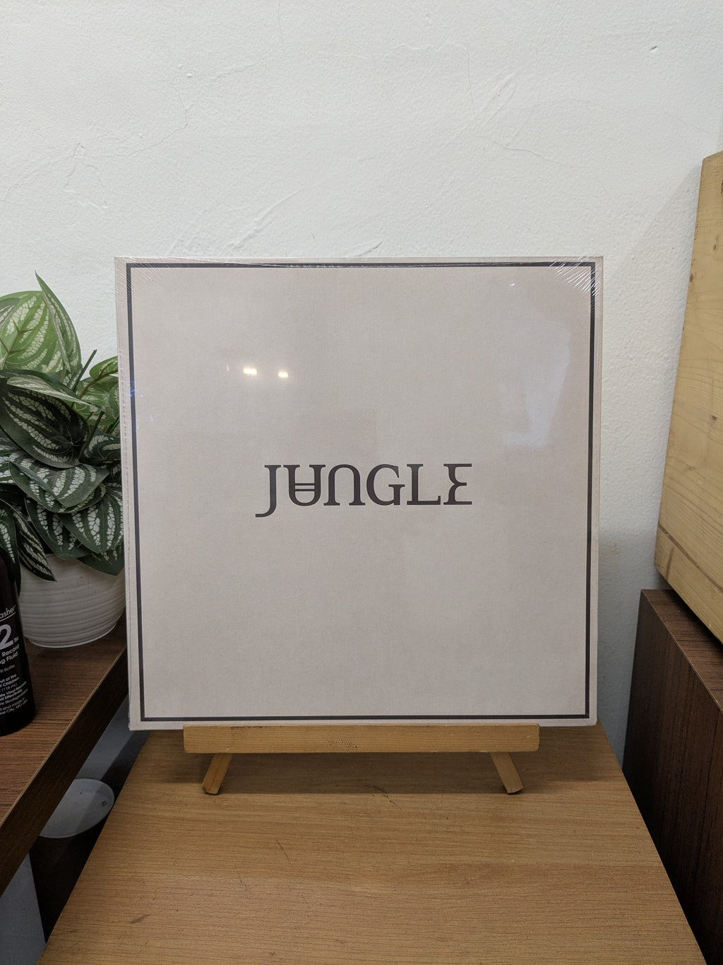 Jungle – Loving In Stereo (VINYL / NEW)