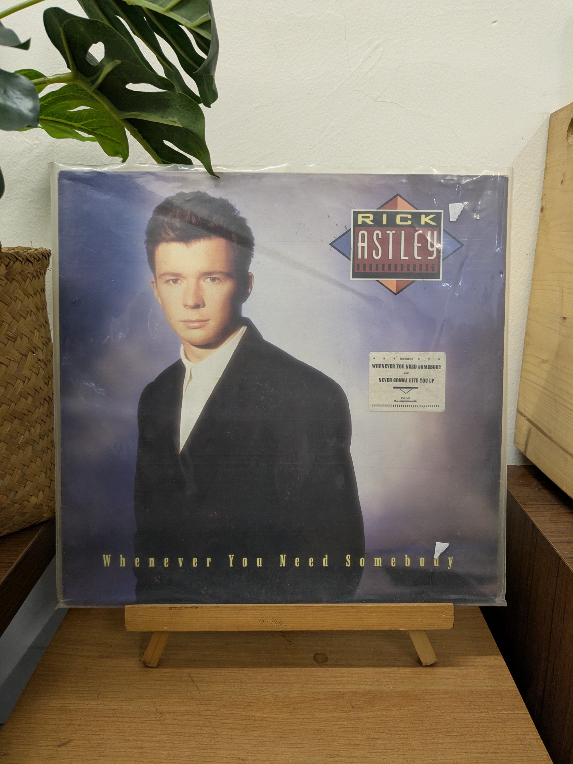 Rick Astley – Whenever You Need Somebody (VINYL / USED)