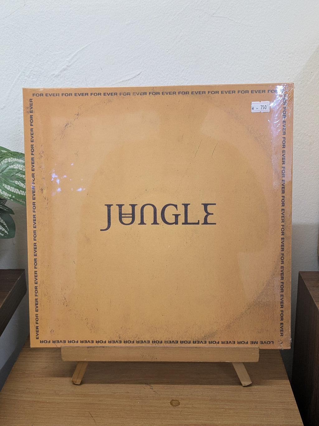 Jungle – For Ever (VINYL / NEW)