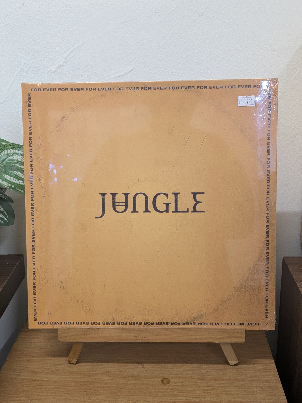 Jungle – For Ever (VINYL / NEW)