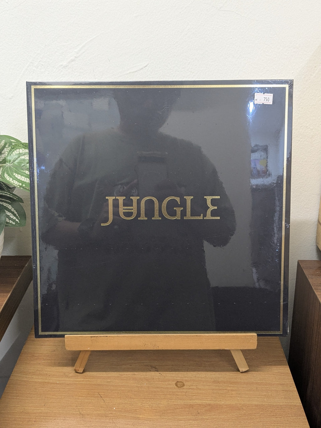 Jungle – Jungle (VINYL / NEW)