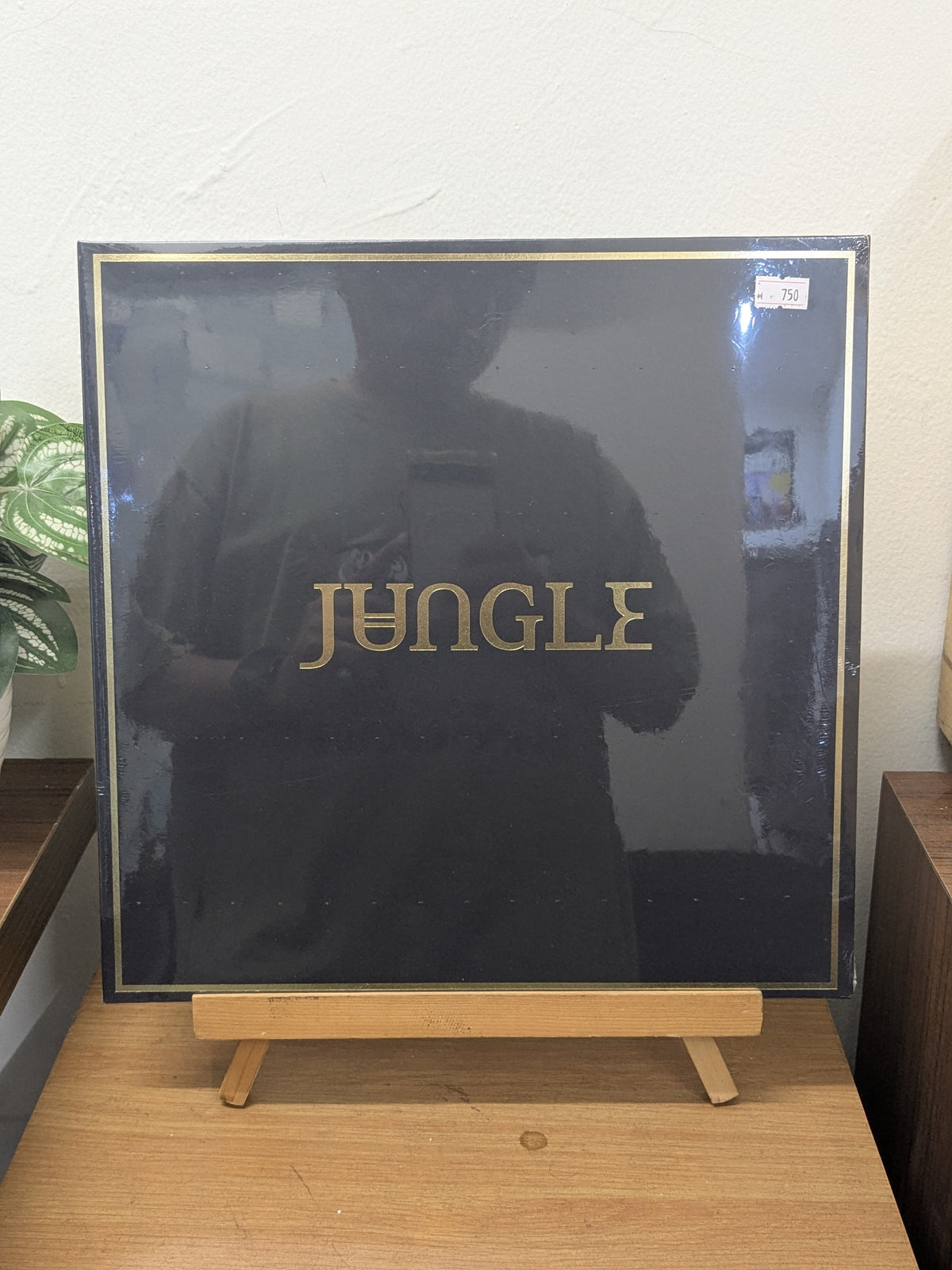 Jungle – Jungle (VINYL / NEW)