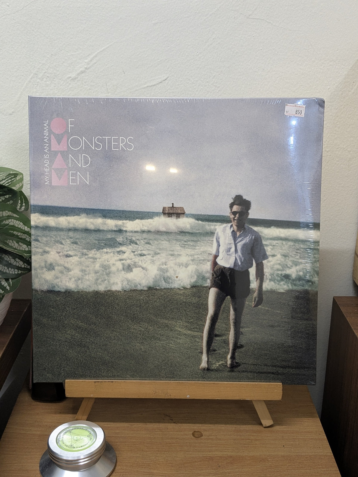 Of Monsters And Men – My Head Is An Animal