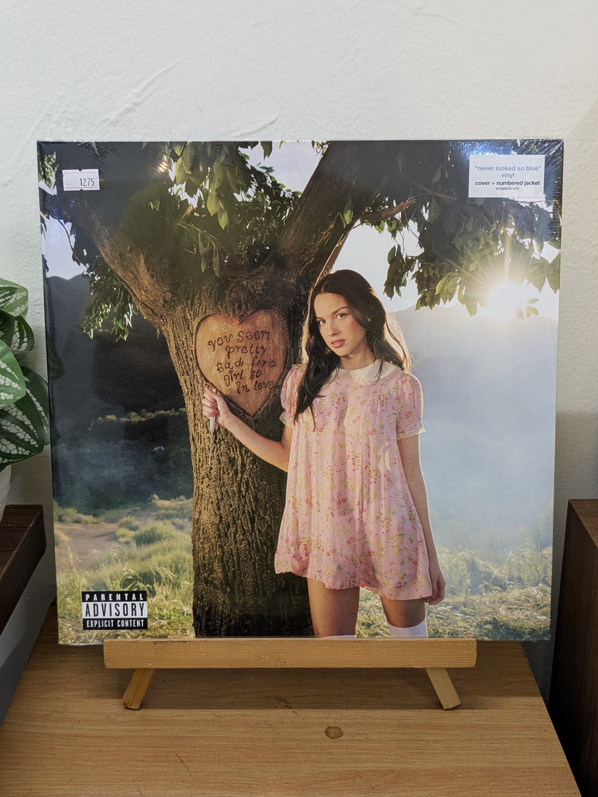 Olivia Rodrigo – You Seem Pretty Sad For A Girl So In Love (VINYL / NEW)