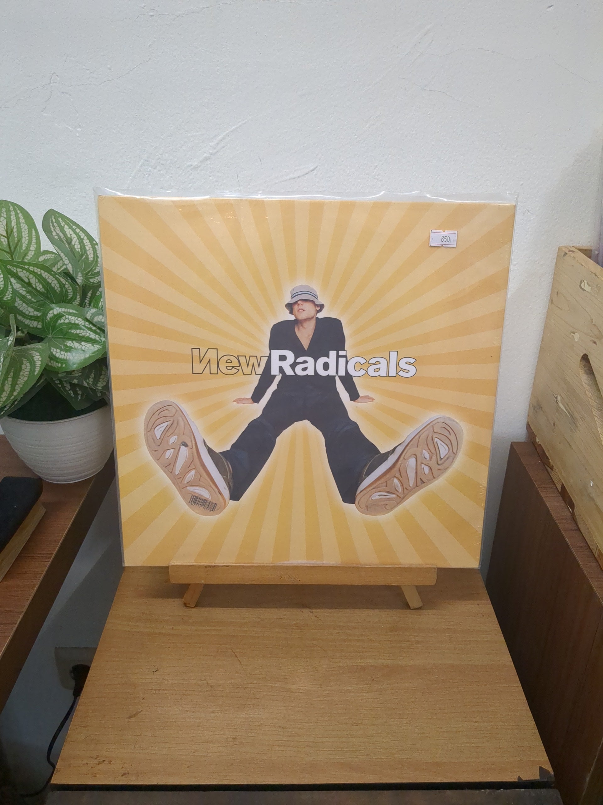 New Radicals – Maybe You've Been Brainwashed Too (VINYL / NEW)