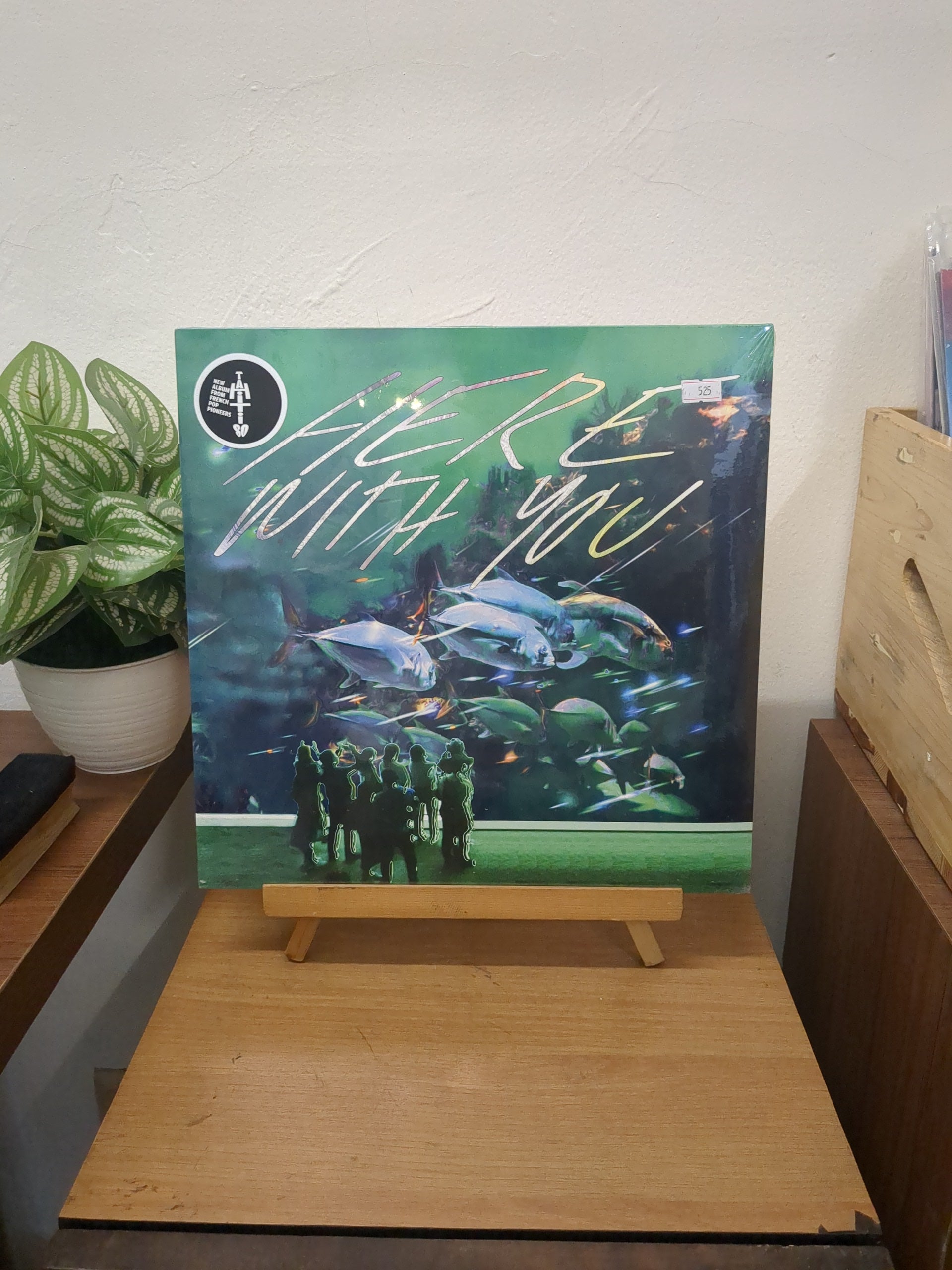Tahiti 80 – Here With You (VINYL / NEW)