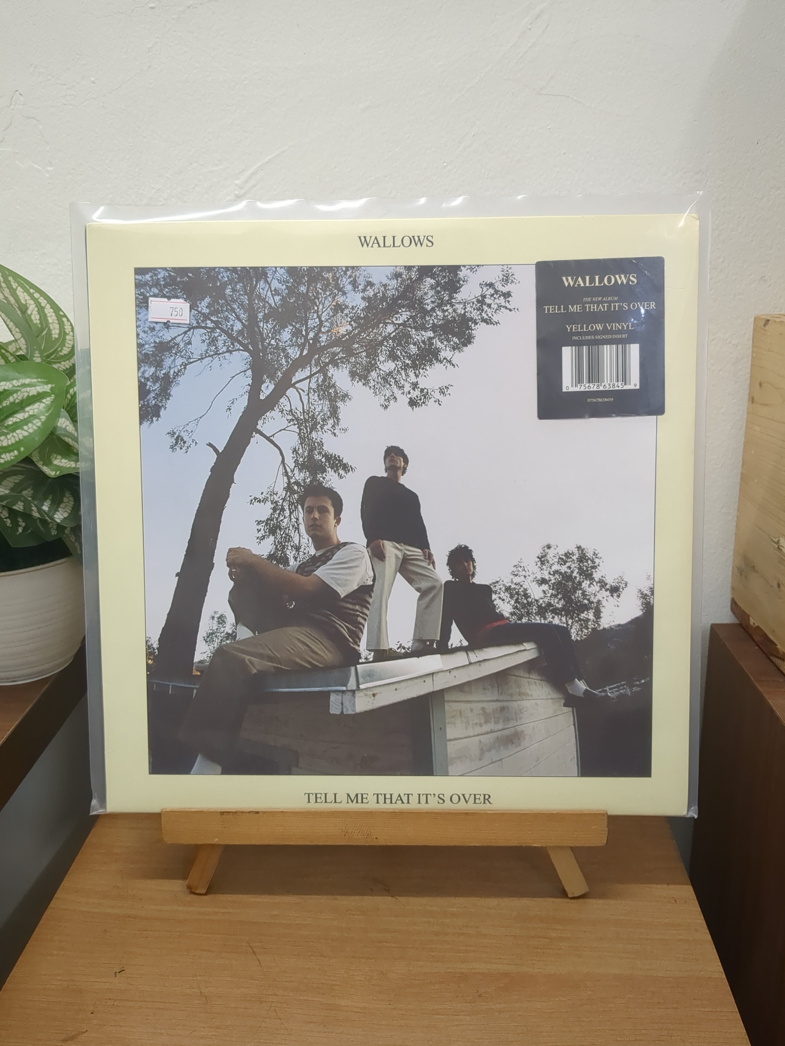 Wallows - Tell Me That It's Over (VINYL / USED)