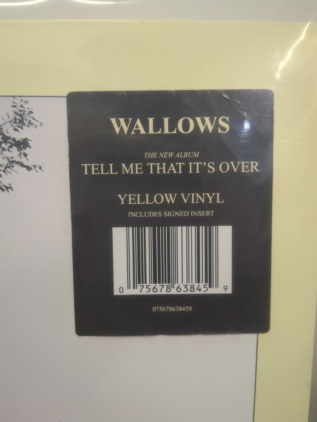 Wallows - Tell Me That It's Over (VINYL / USED)
