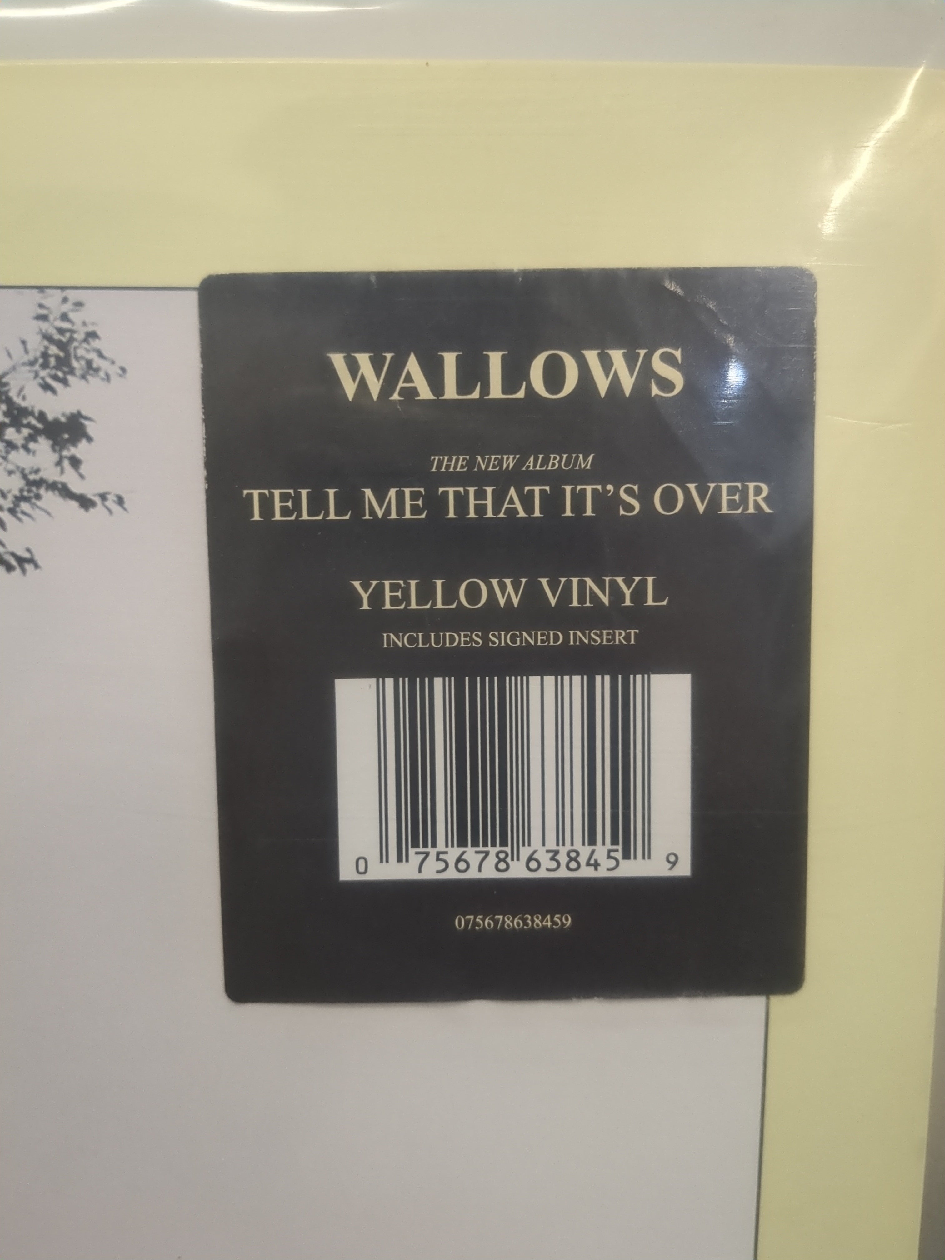 Wallows - Tell Me That It's Over (VINYL / USED)