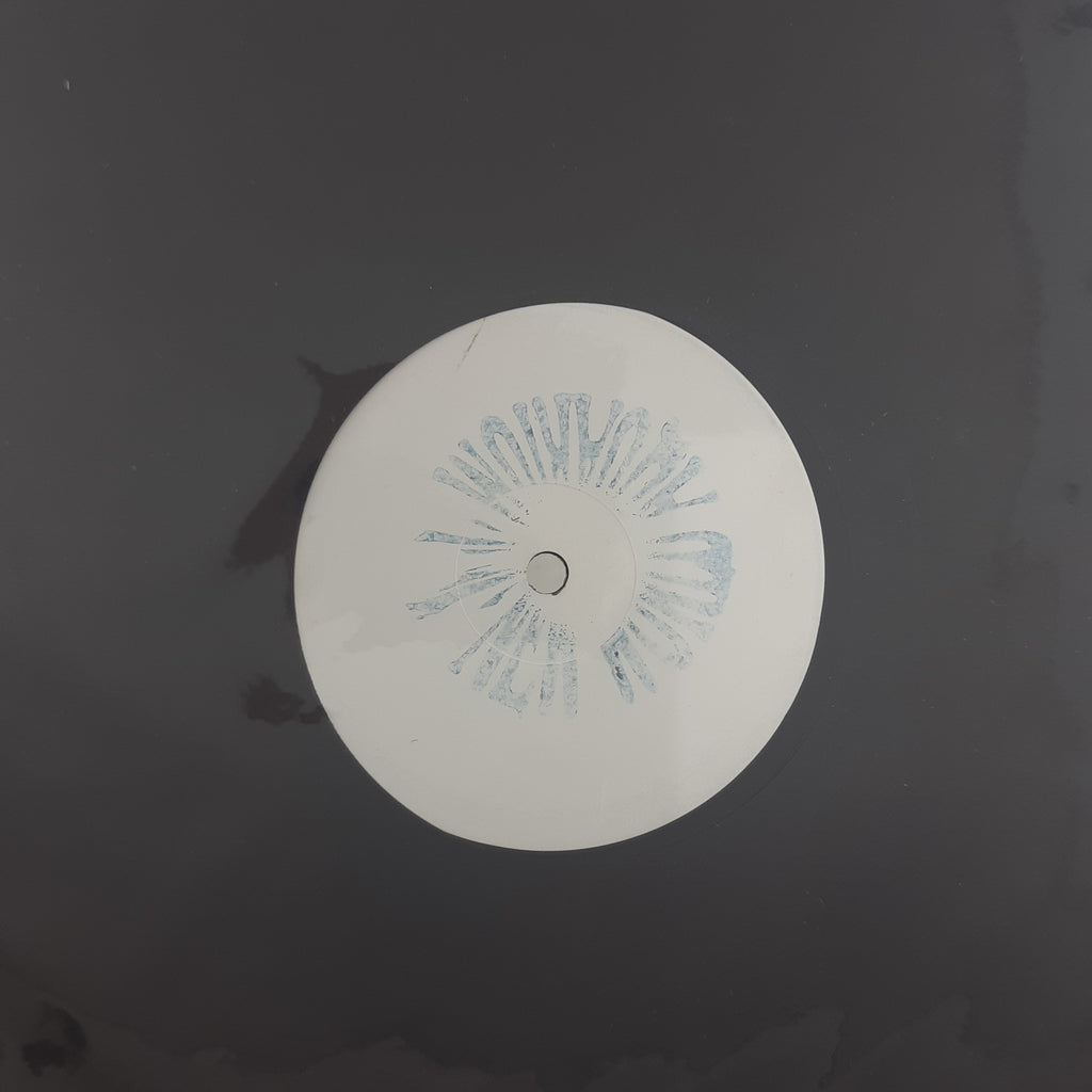 Newworldaquarium – Trespassers (VINYL / USED)