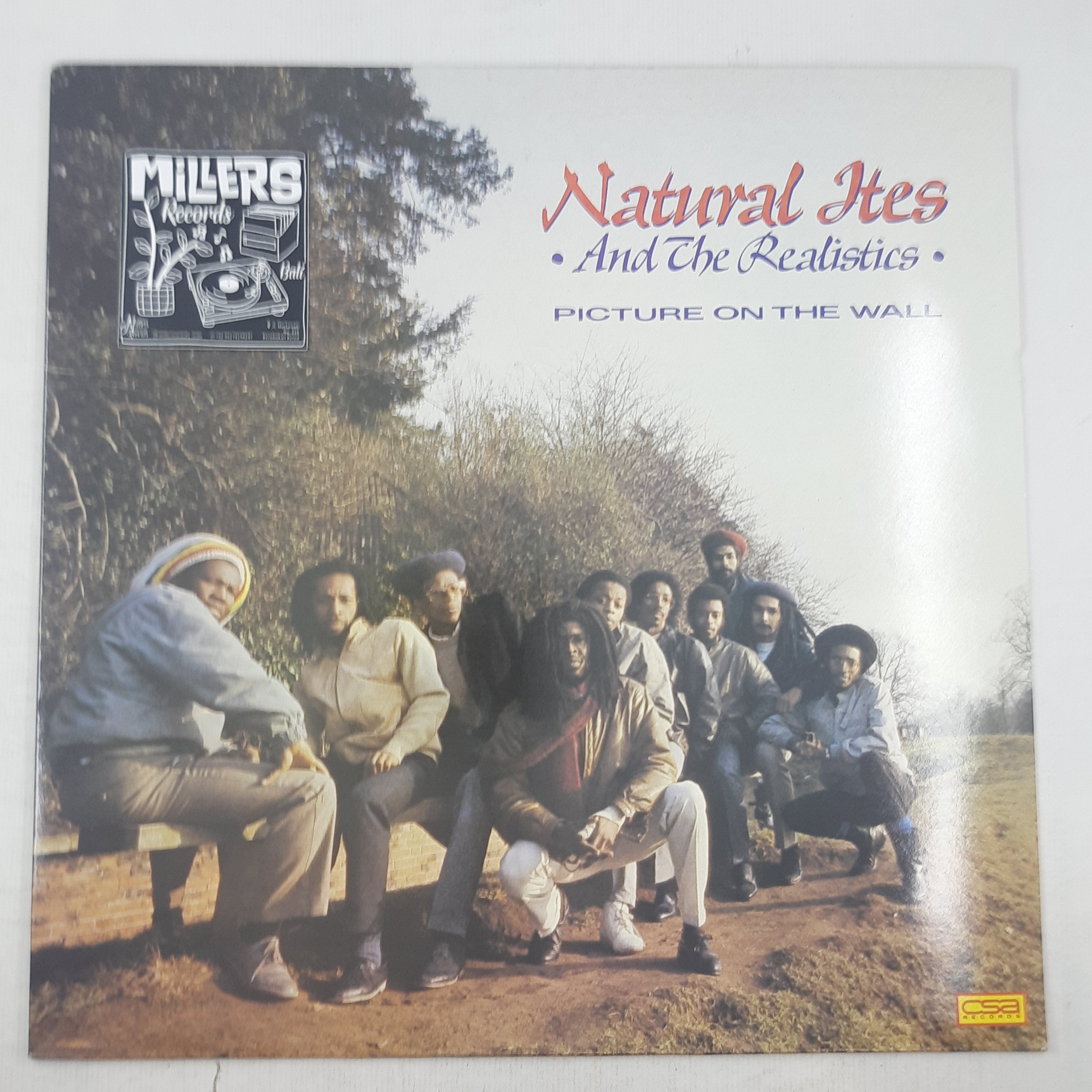 Natural Ites & The Realistics – Picture On The Wall (VINYL / USED)