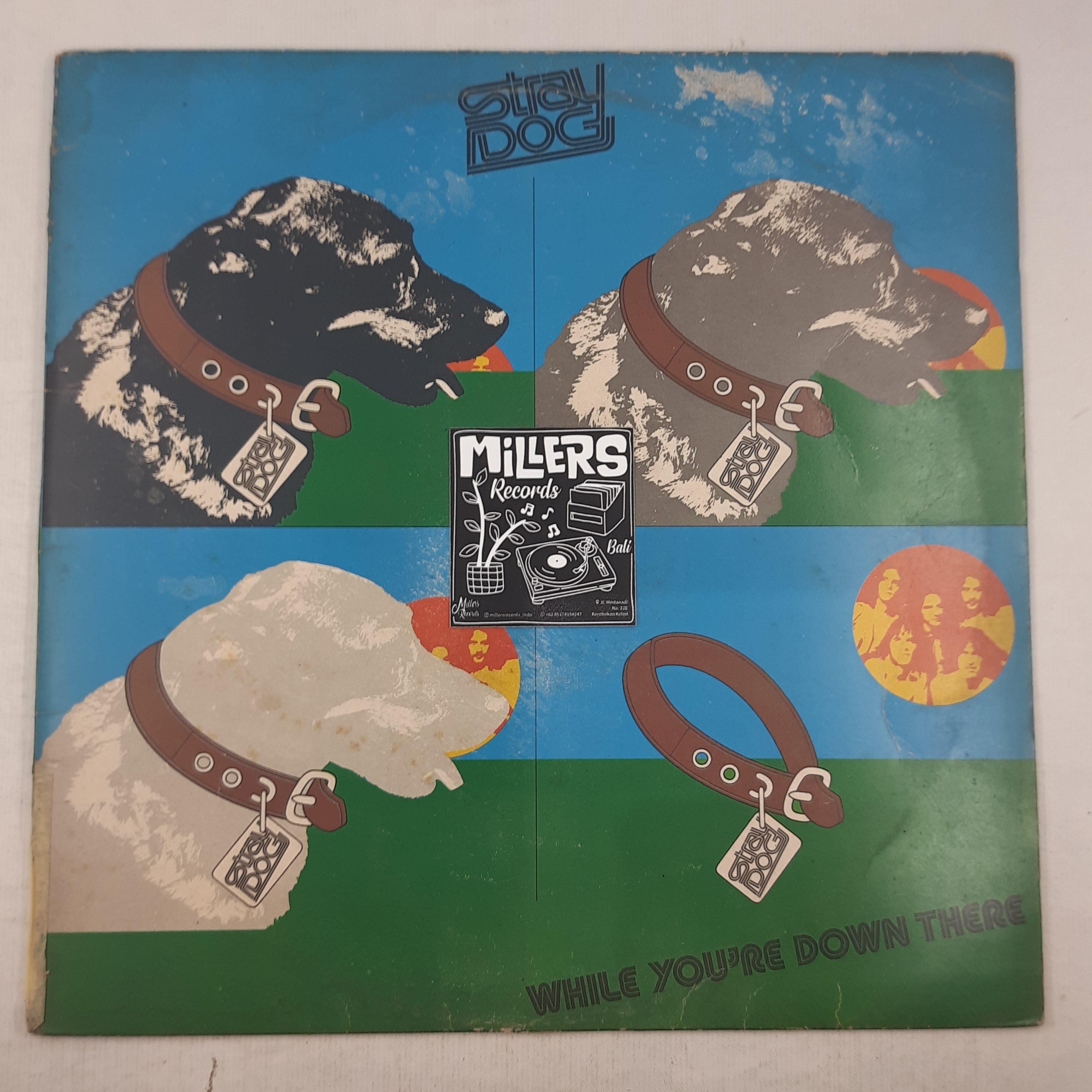 Stray Dog – While You're Down There (VINYL / USED)