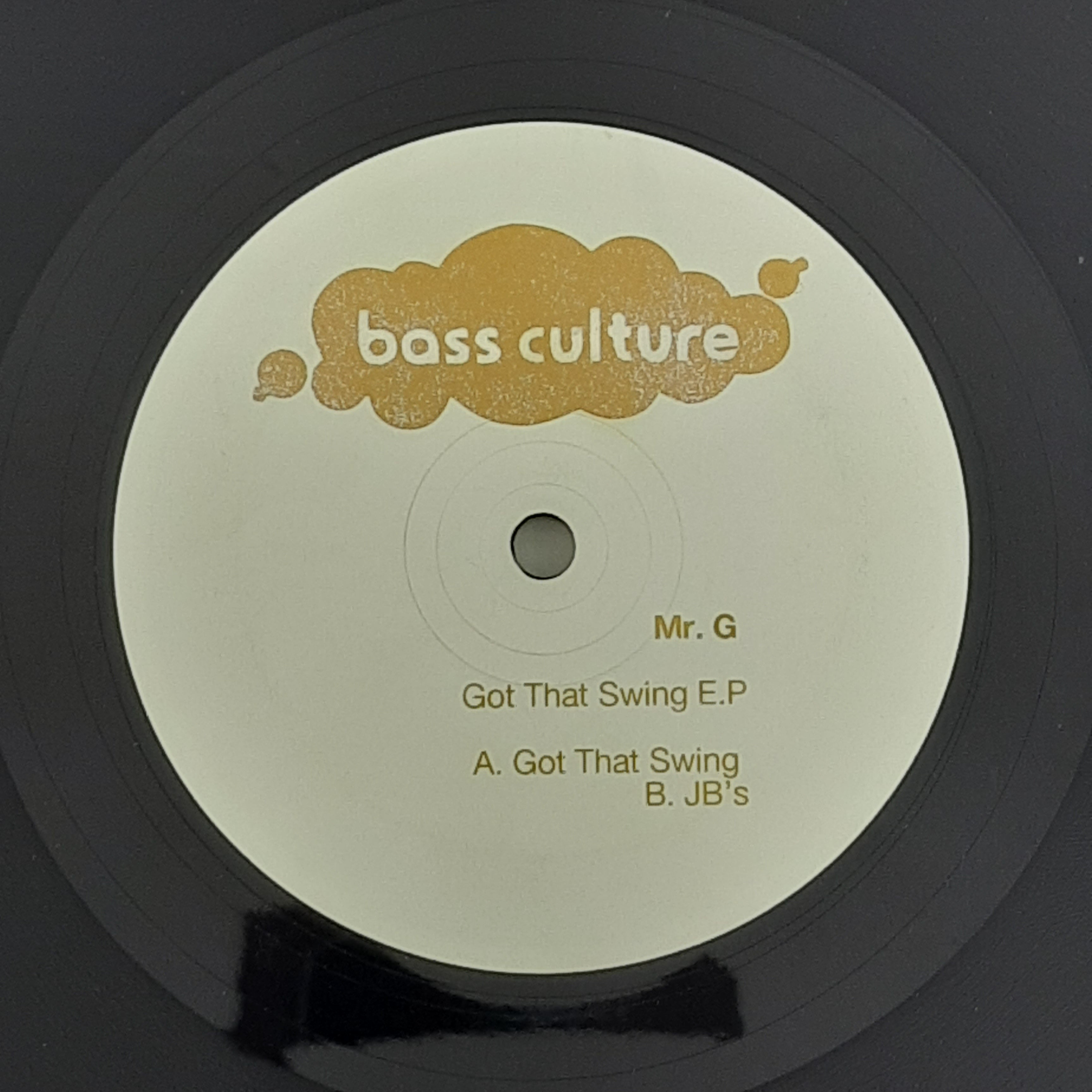 Mr. G – Got That Swing E.P (VINYL / USED)