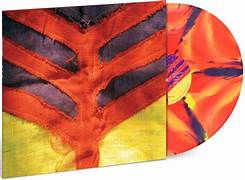 Yeah Yeah Yeahs – Show Your Bones (VINYL / NEW)