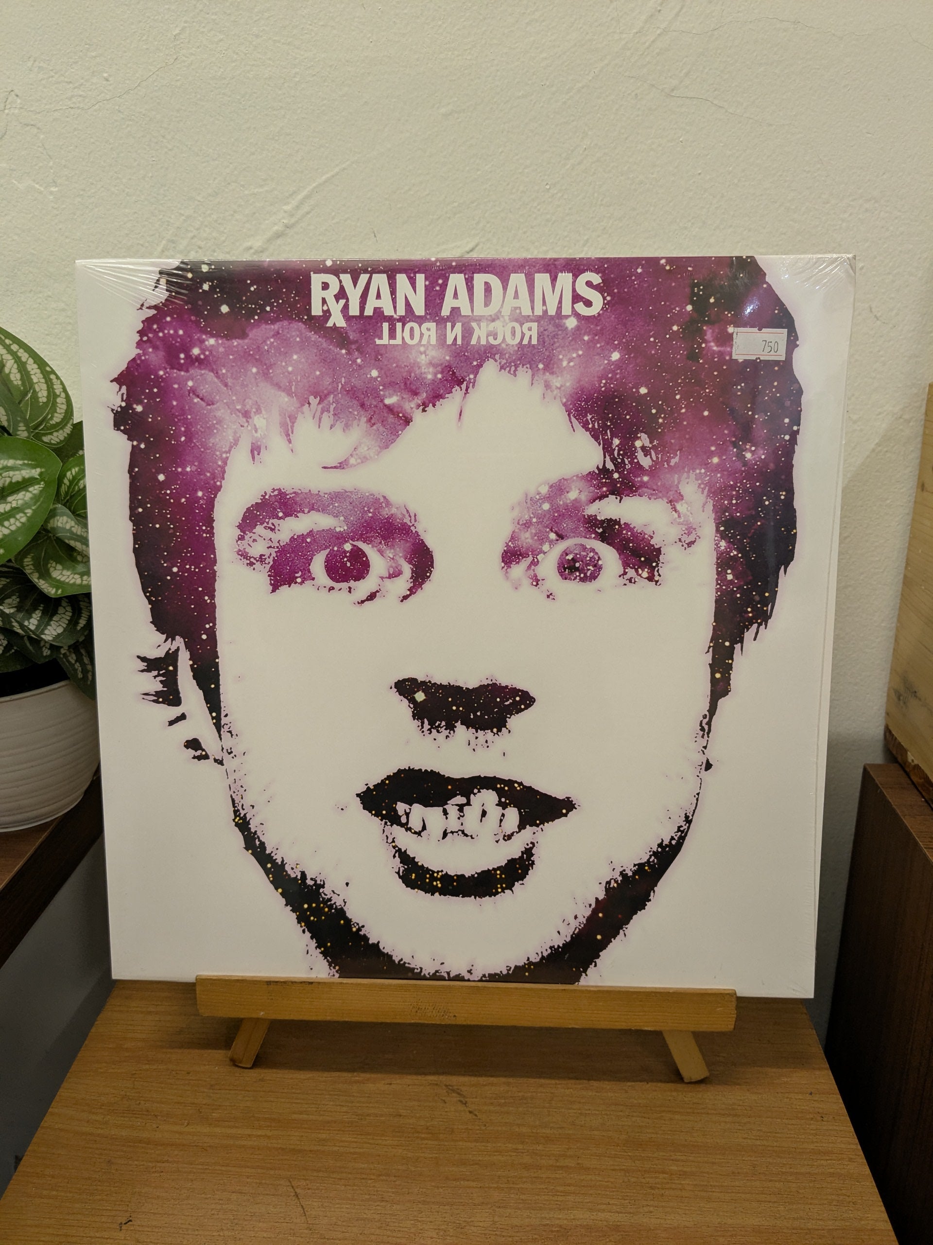 Ryan Adams - Rock N Roll (VINYL / NEW)