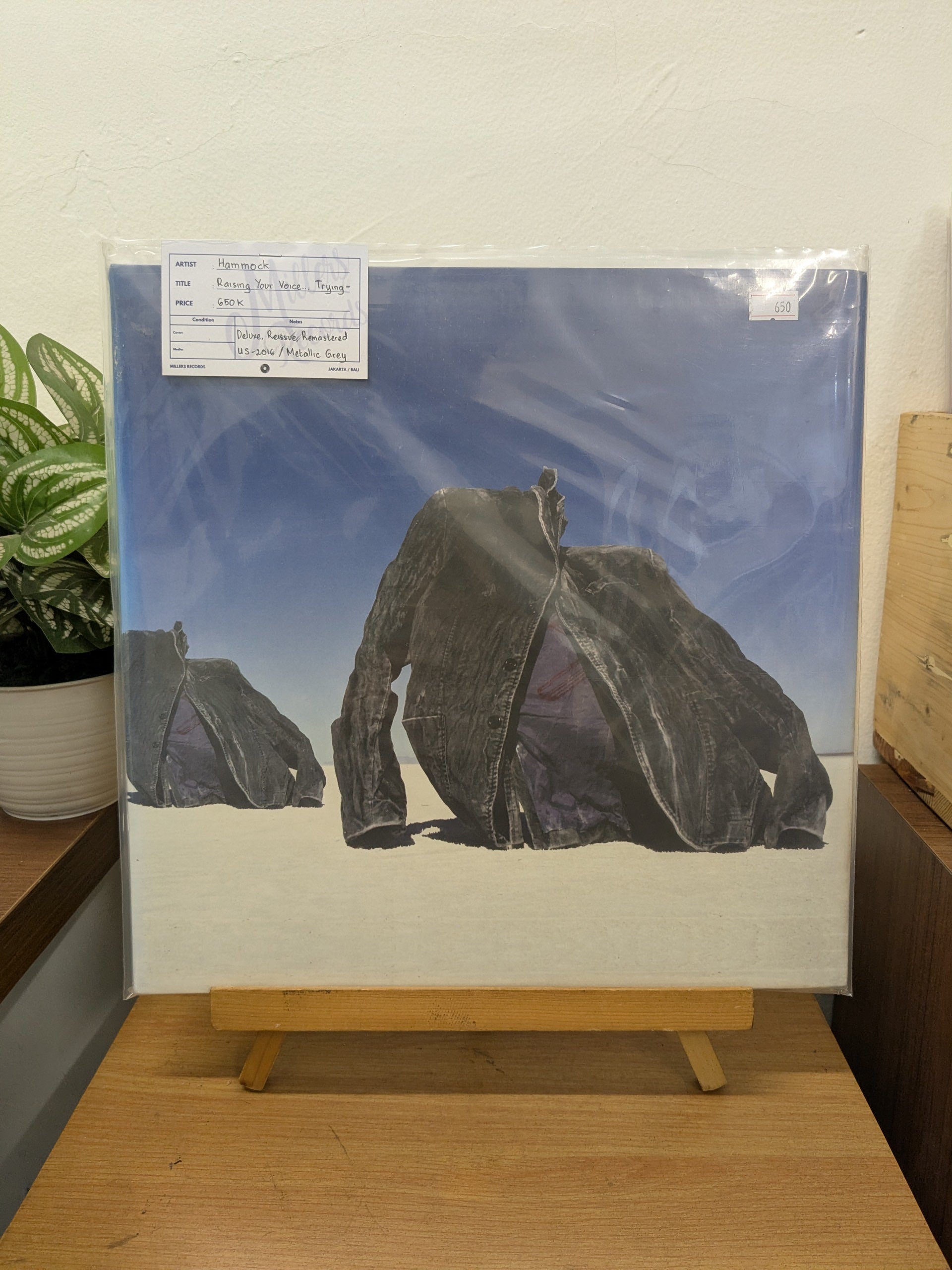 Hammock - Raising Your Voice... Trying To Stop An Echo (VINYL / USED)