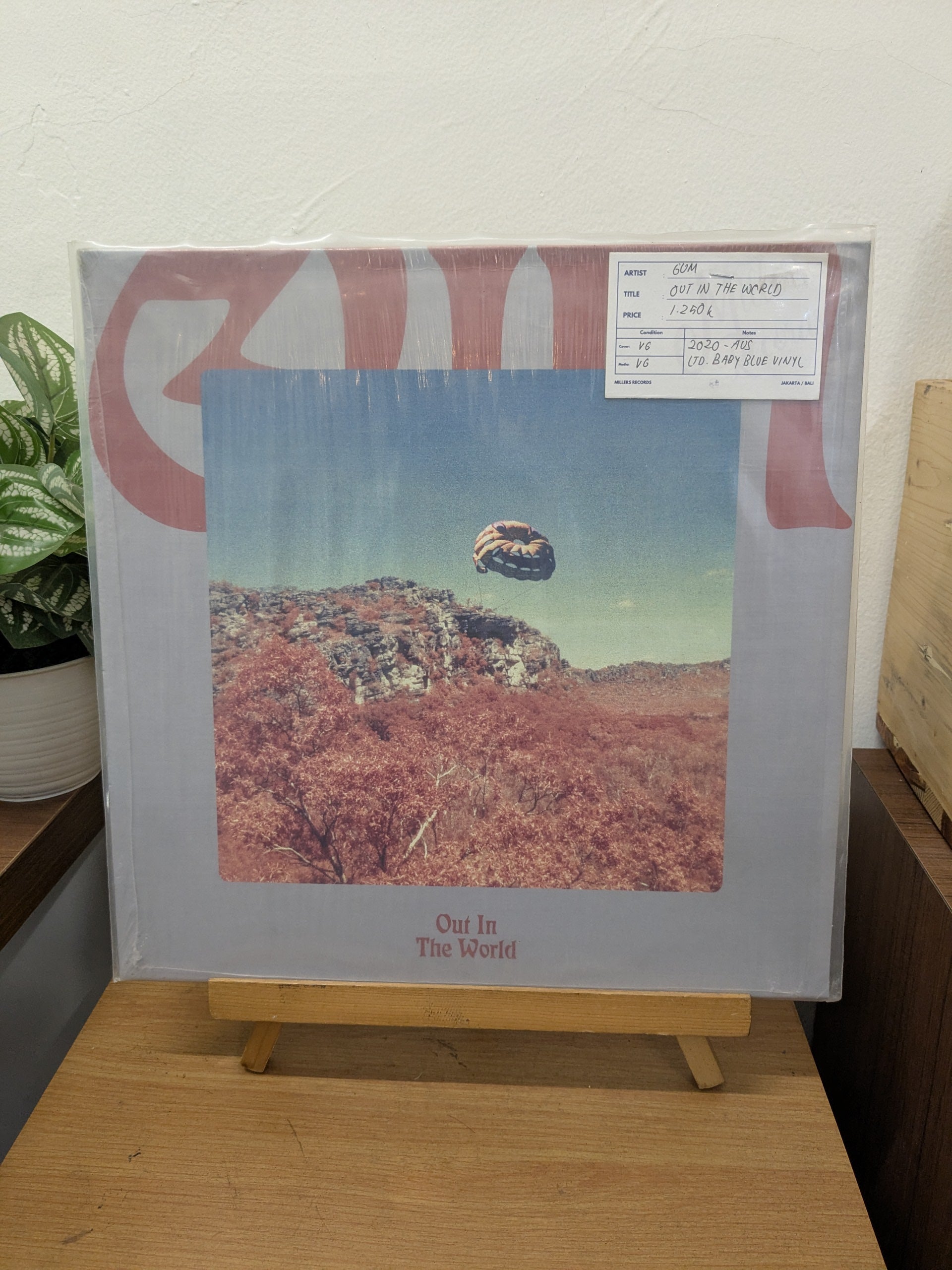 Gum - Out In The World (VINYL / USED)