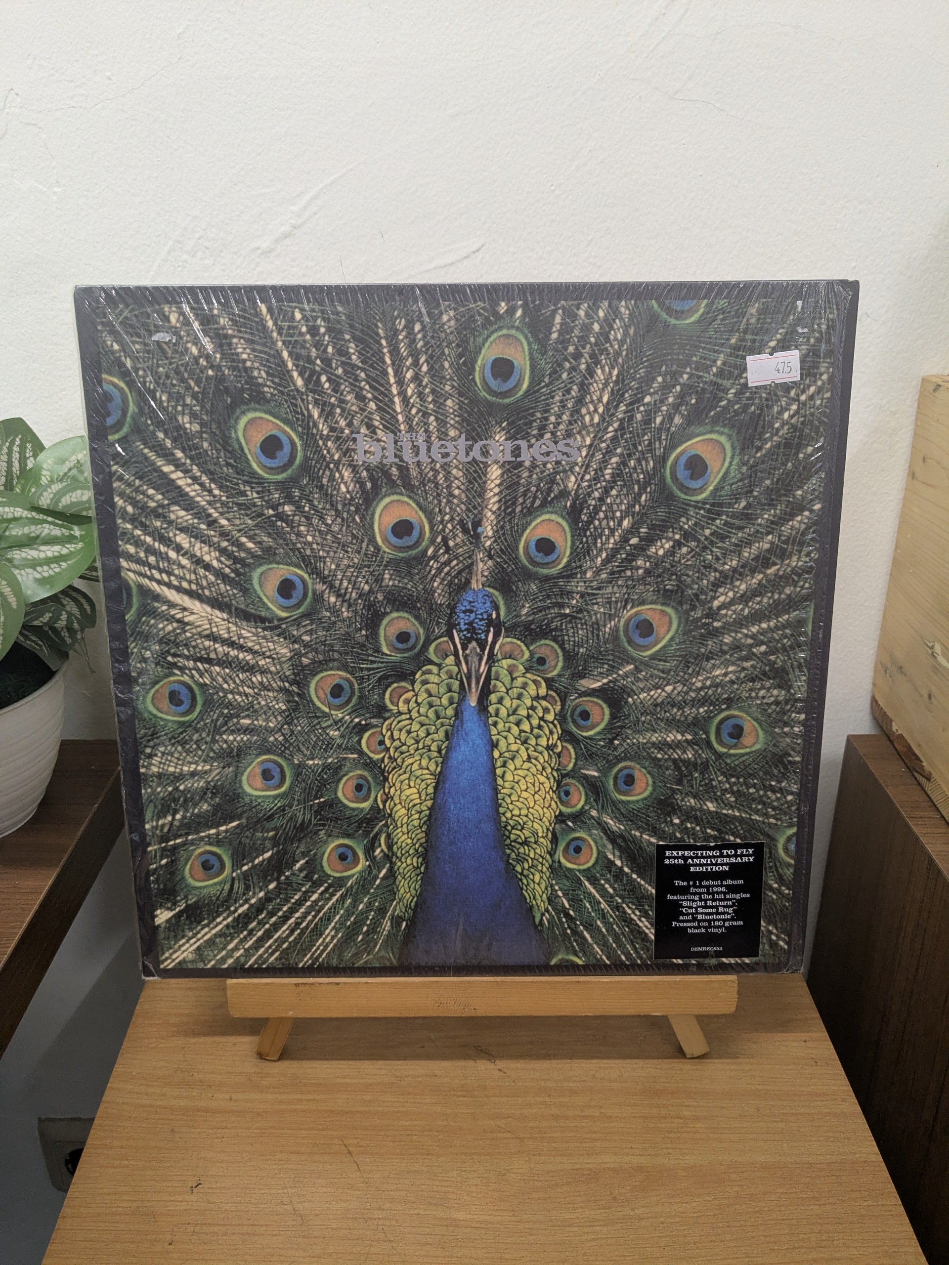 The Bluetones – Expecting To Fly (VINYL / USED)