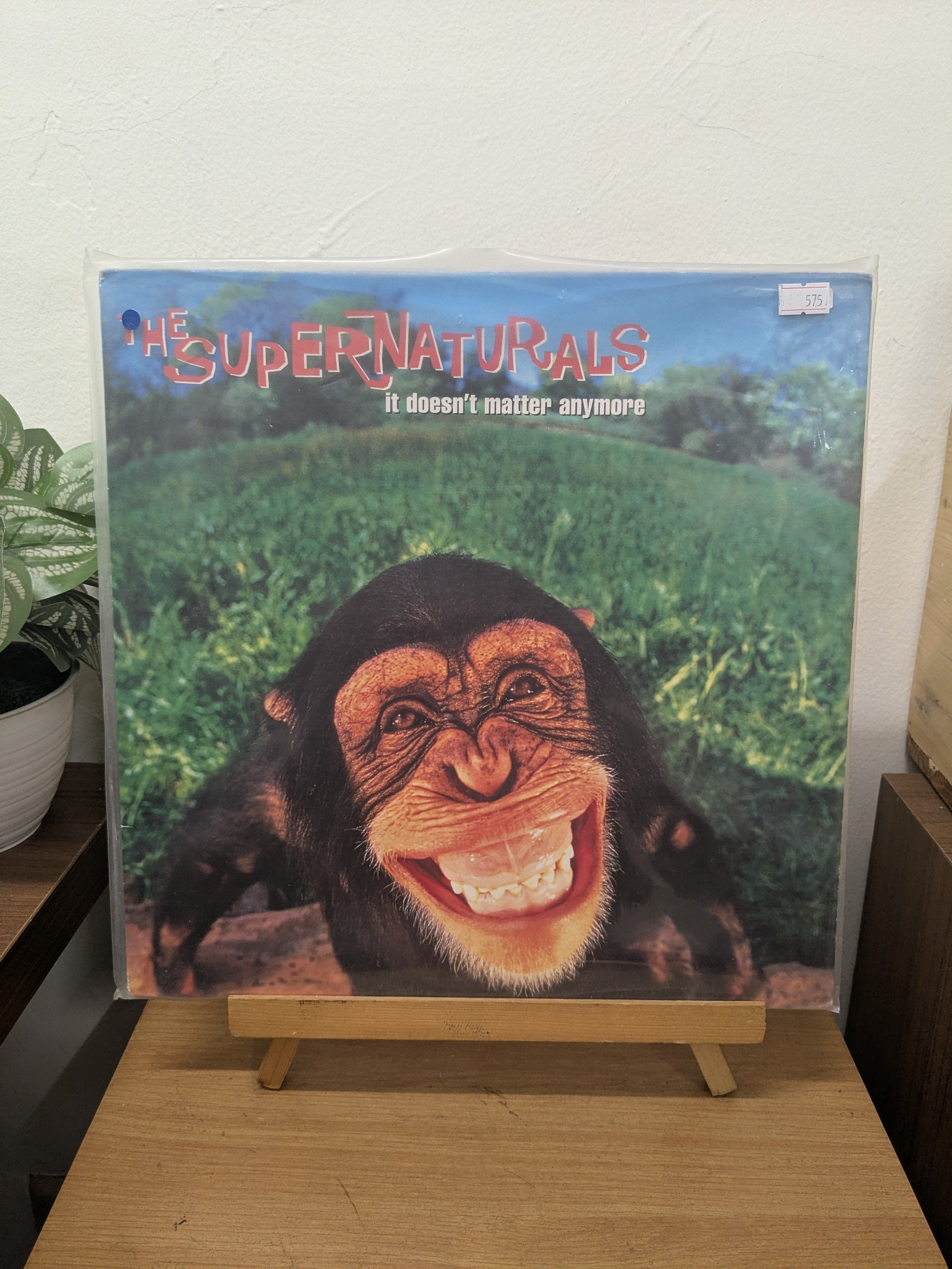 The Supernaturals - it Doesn't Matter Anymore (VINYL / USED)