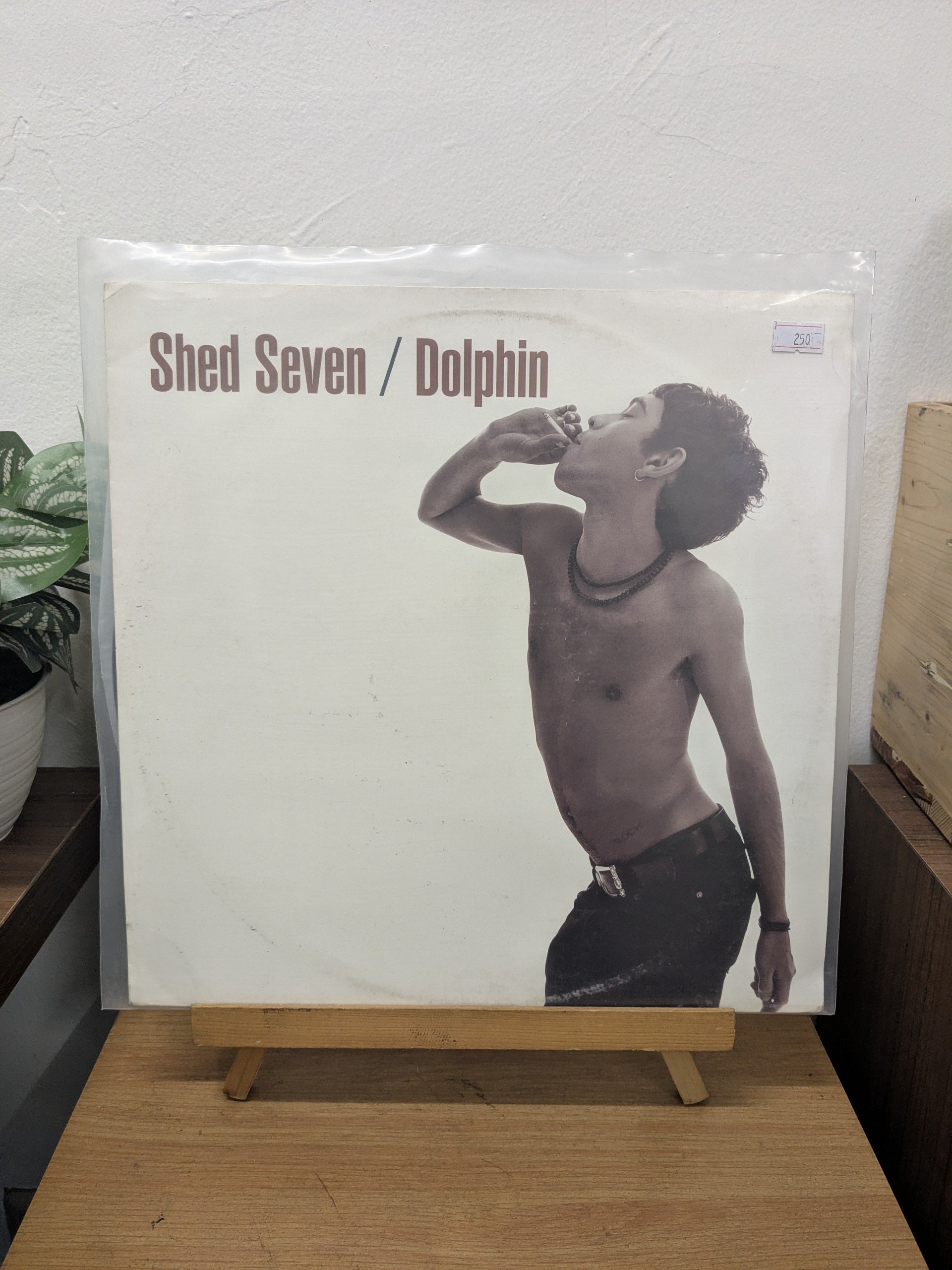 Shed Seven – Dolphin EP (VINYL / USED)
