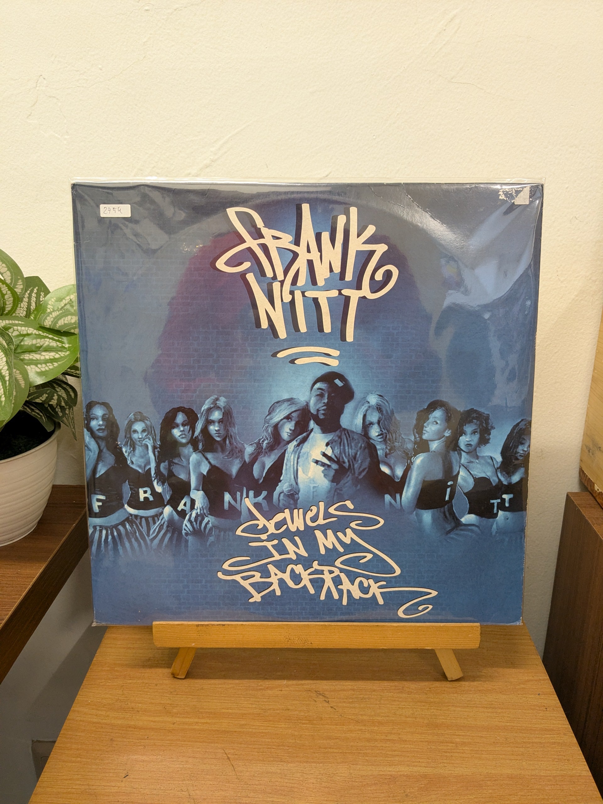 Frank Nitt – Jewels In My Backpack (VINYL / USED)