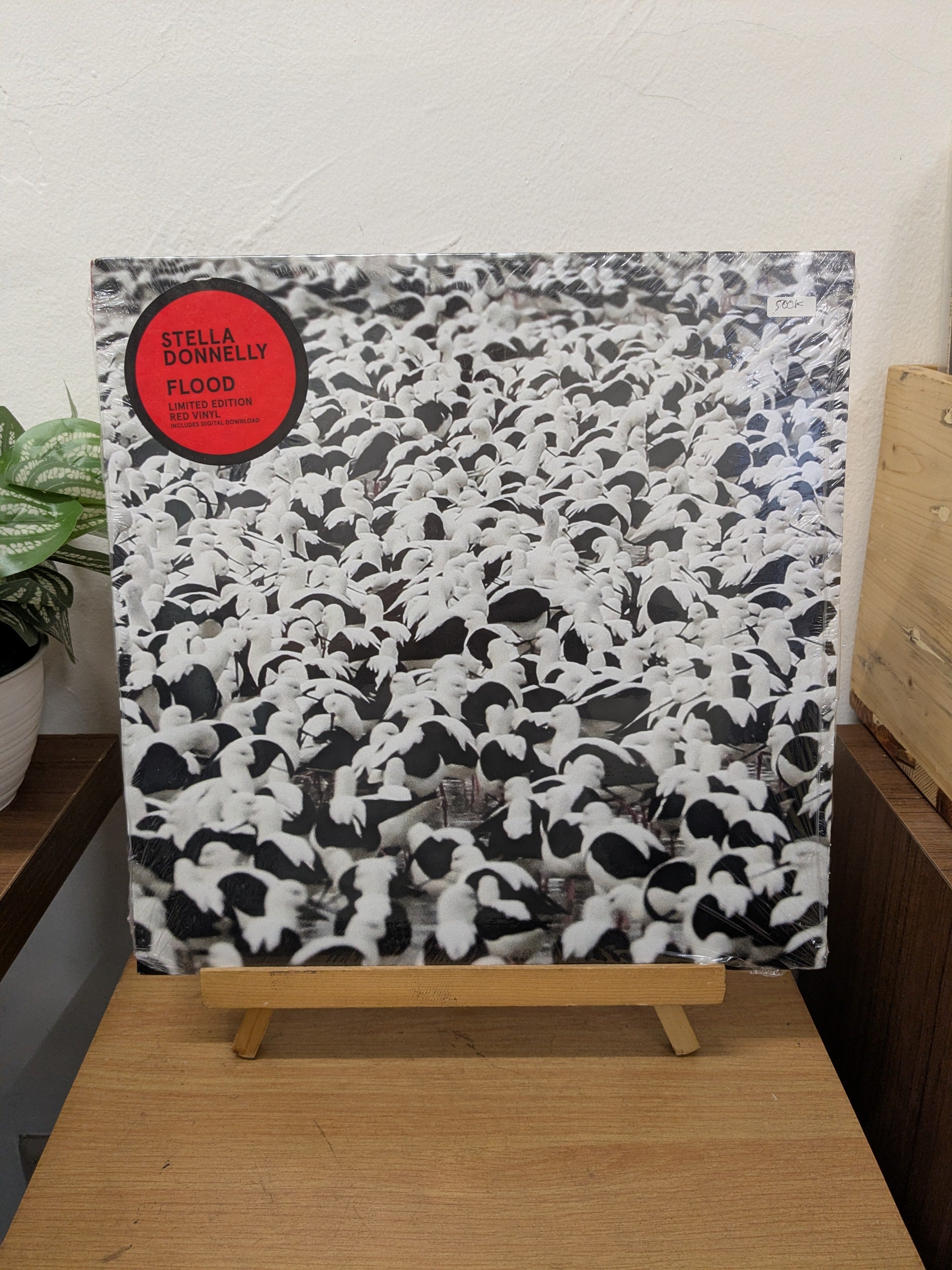 Stella Donnelly – Flood (VINYL / NEW)