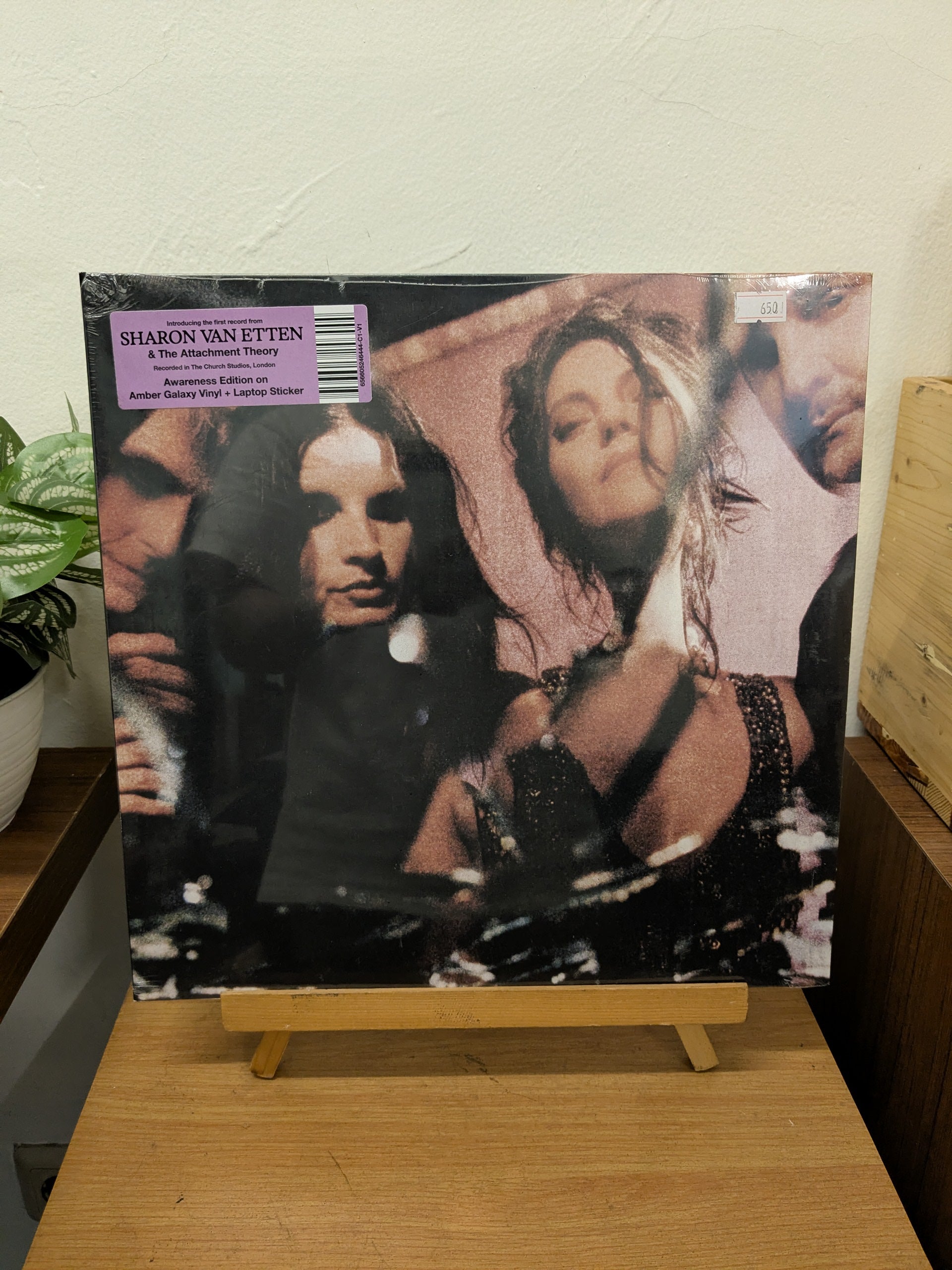 Sharon Van Etten & The Attachment Theory – Sharon Van Etten & The Attachment Theory (VINYL / NEW)