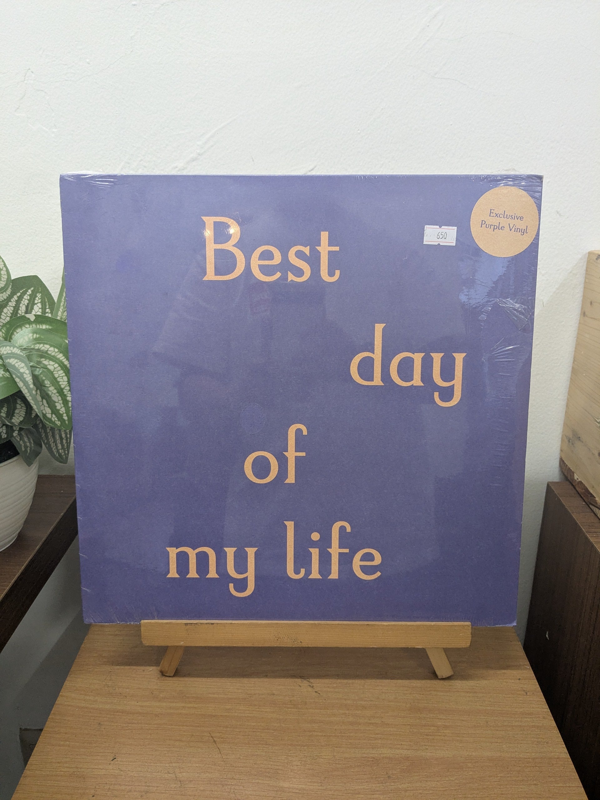 Tom Odell – Best Day Of My Life (VINYL / NEW)