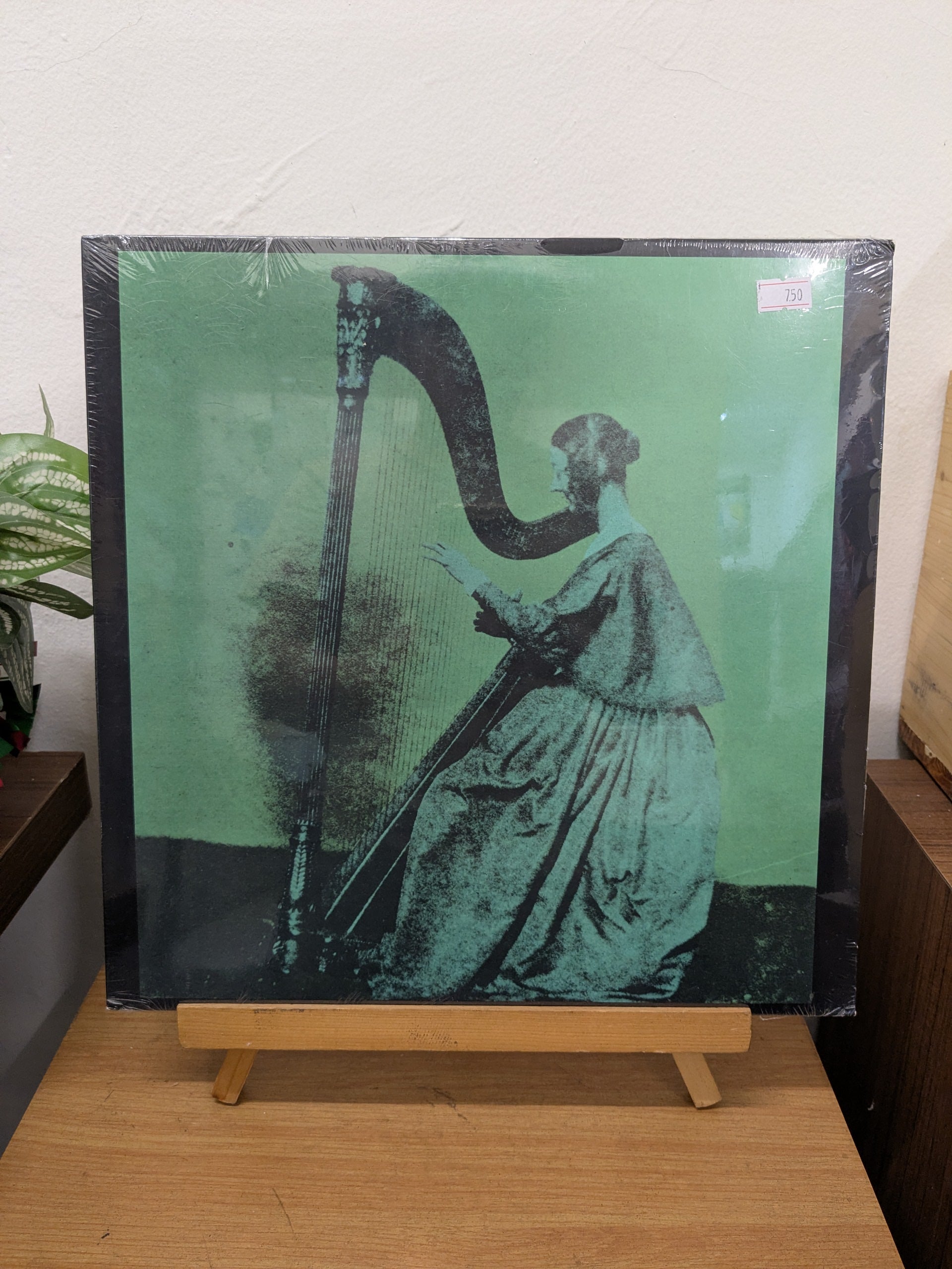 TV Girl – Grapes Upon The Vine (VINYL / NEW)