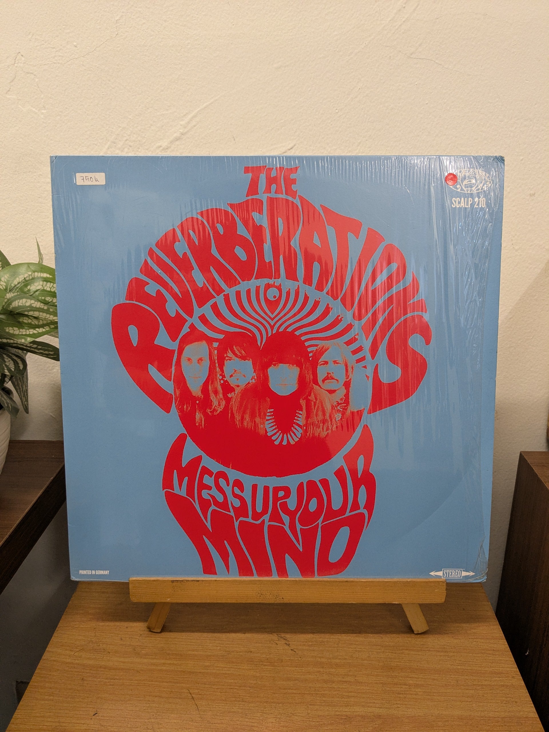 The Reverberations – Mess Up Your Mind (VINYL / USED)