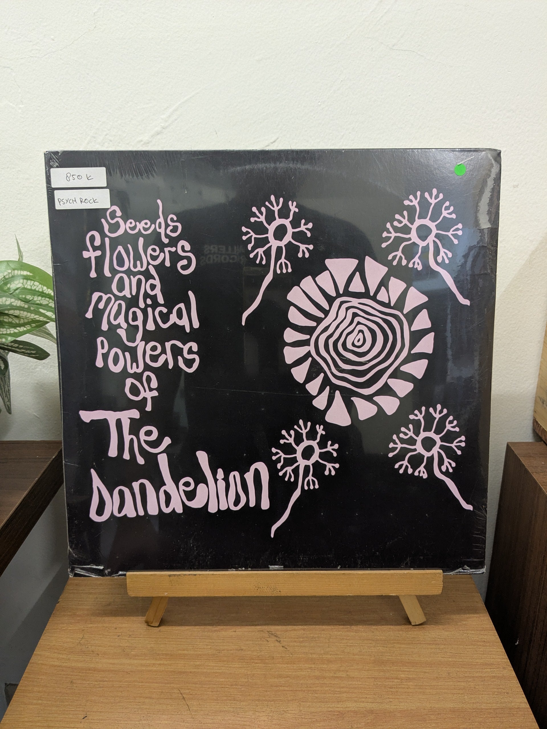 The Dandelion – Seeds Flowers And Magical Powers Of The Dandelion (VINYL / NEW)