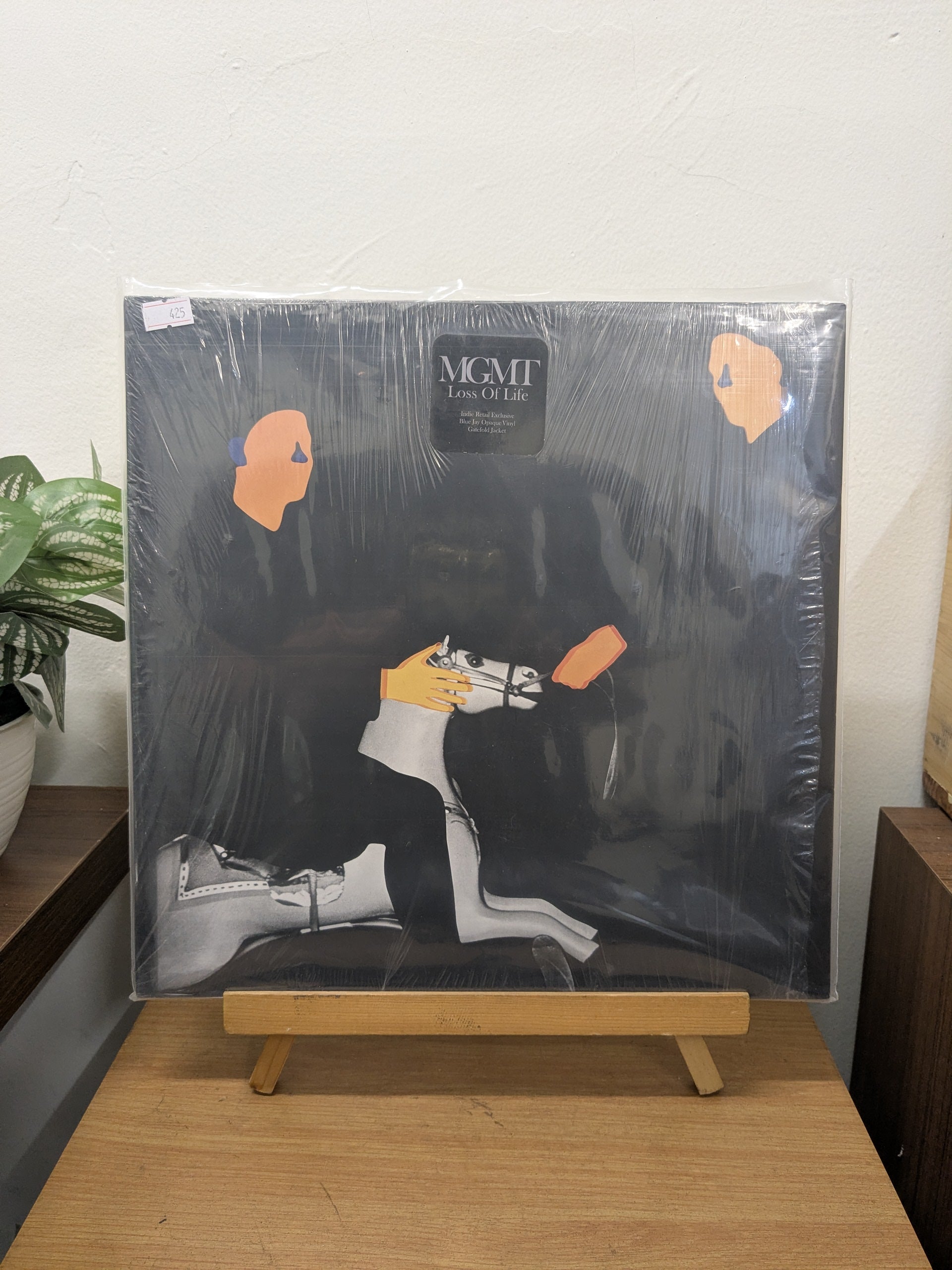 MGMT – Loss Of Life (VINYL / USED)