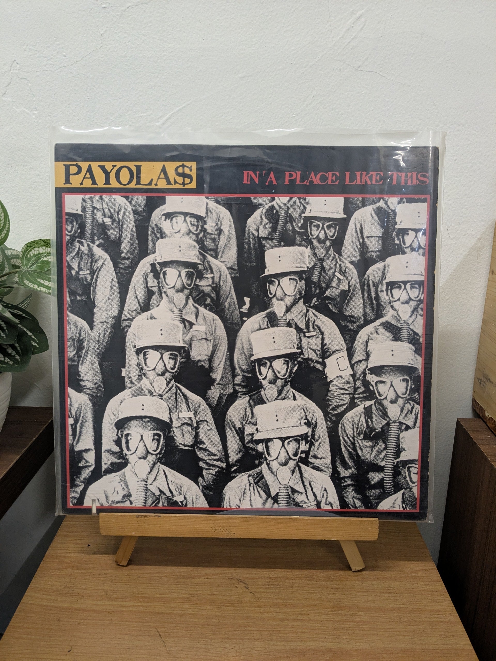 Payola$ – In A Place Like This (VINYL / USED)