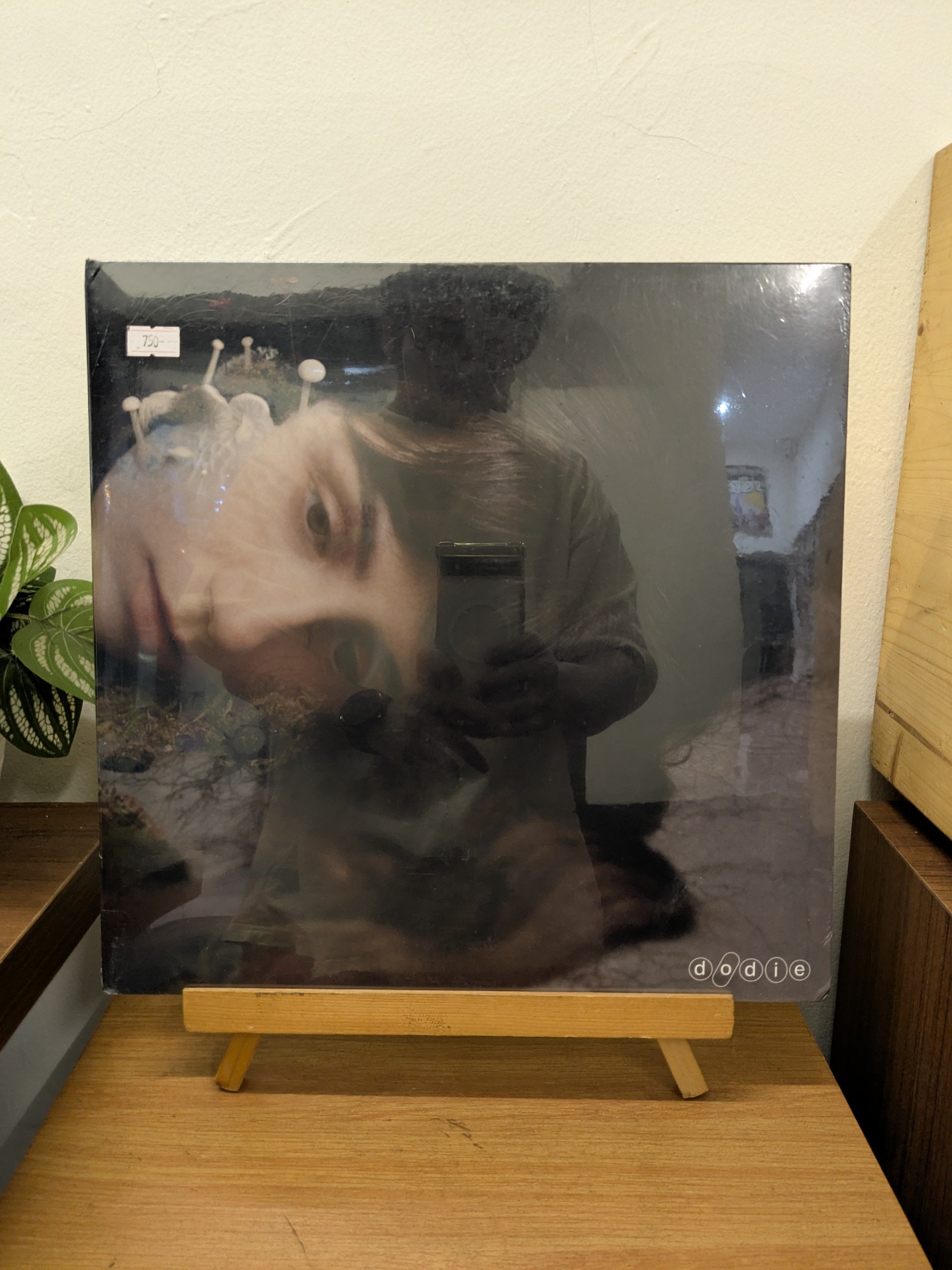 Dodie – Not For Lack Of Trying ( VINYL / NEW )