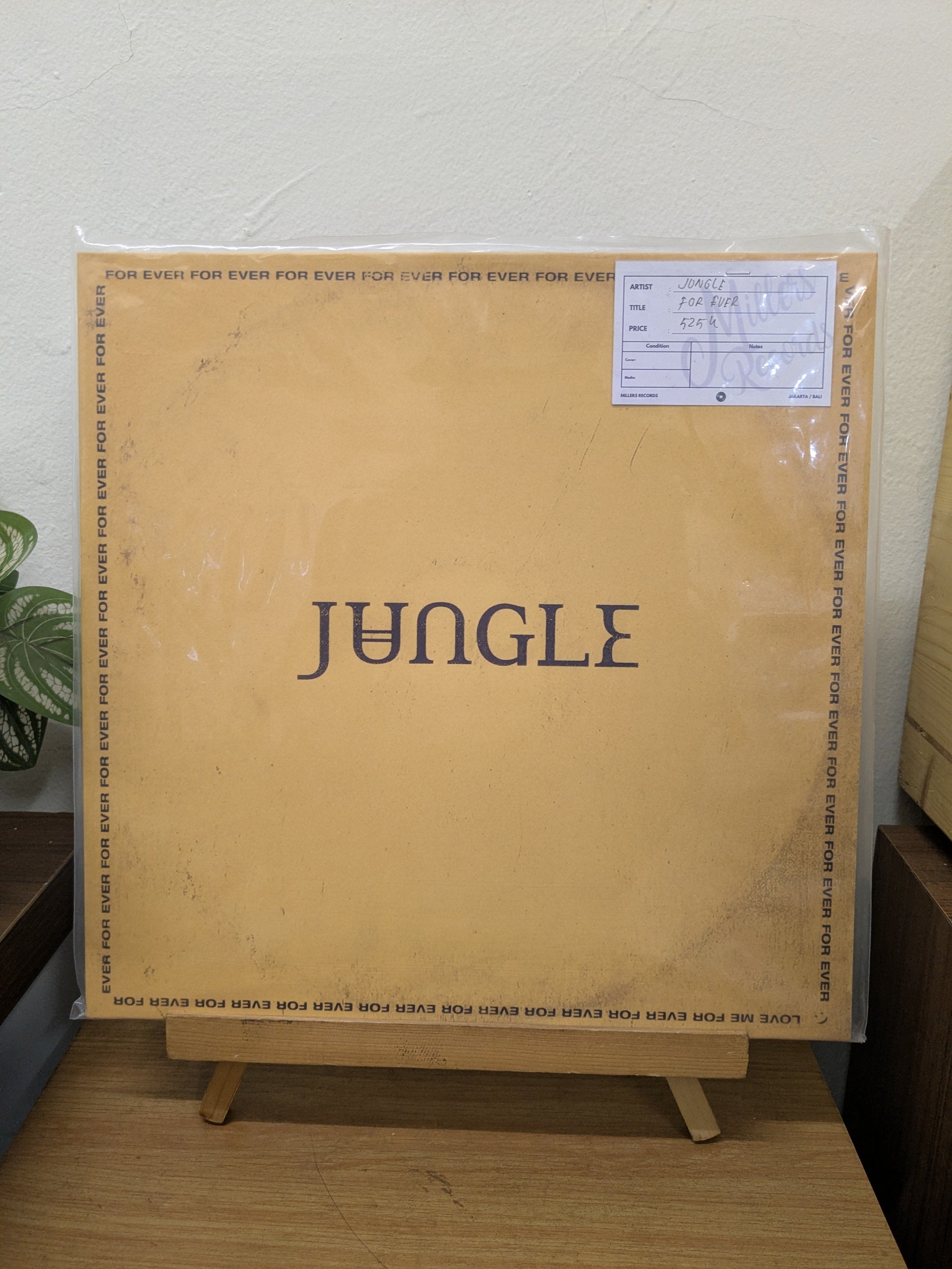 Jungle – For Ever ( VINYL / USED )