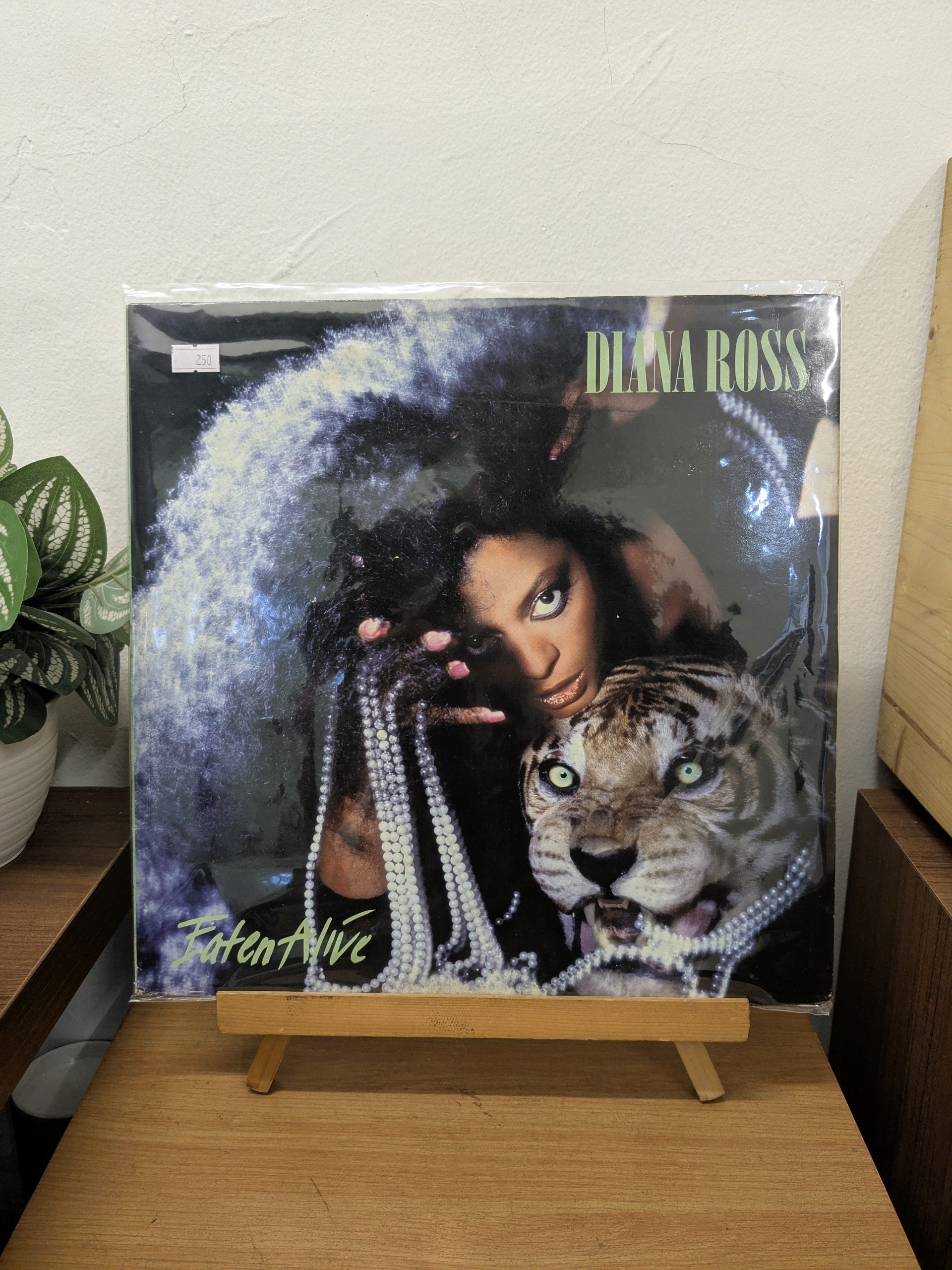 Diana Ross – Eaten Alive ( VINYL / USED )