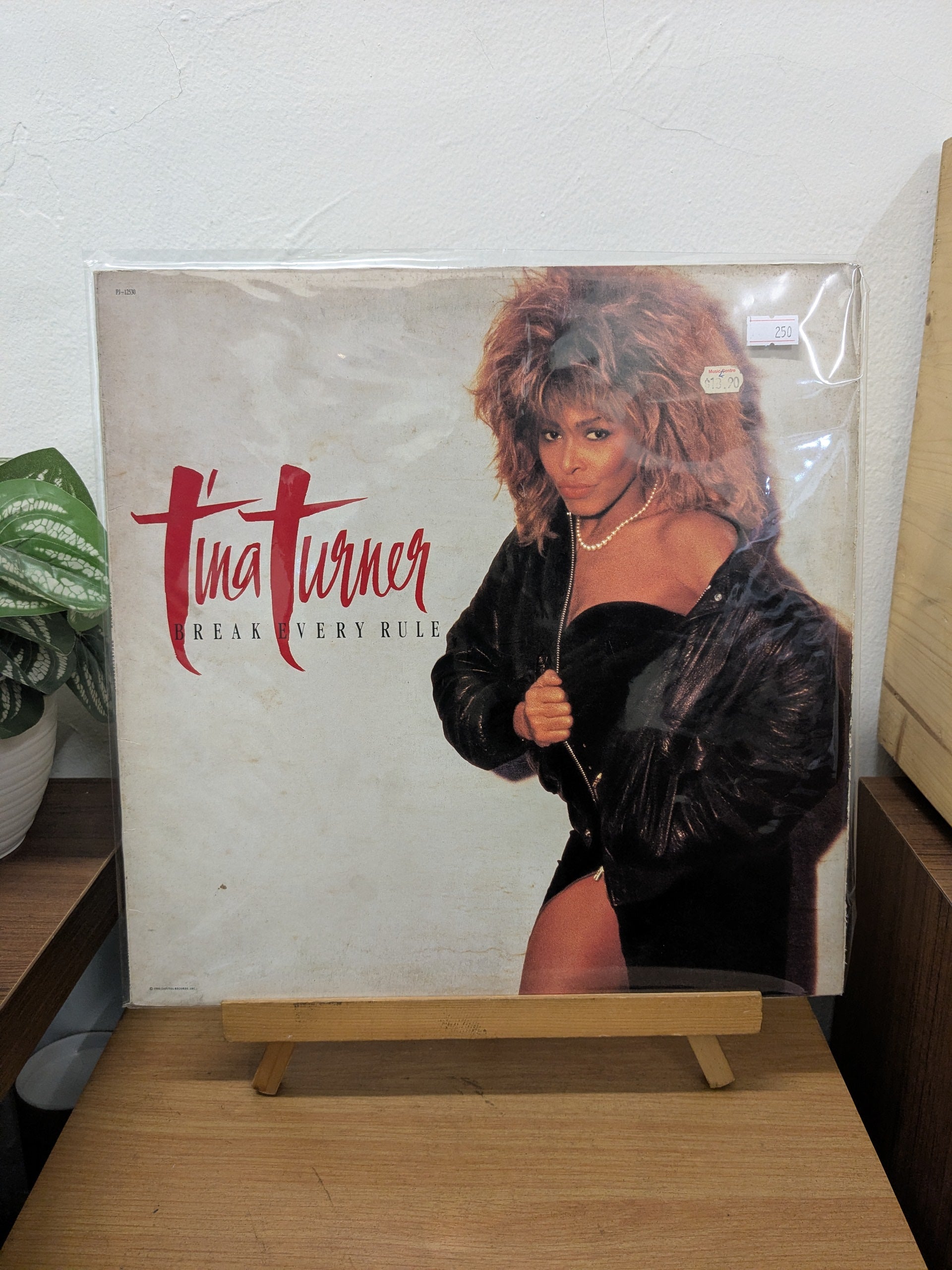 Tina Turner – Break Every Rule ( VINYL / USED )