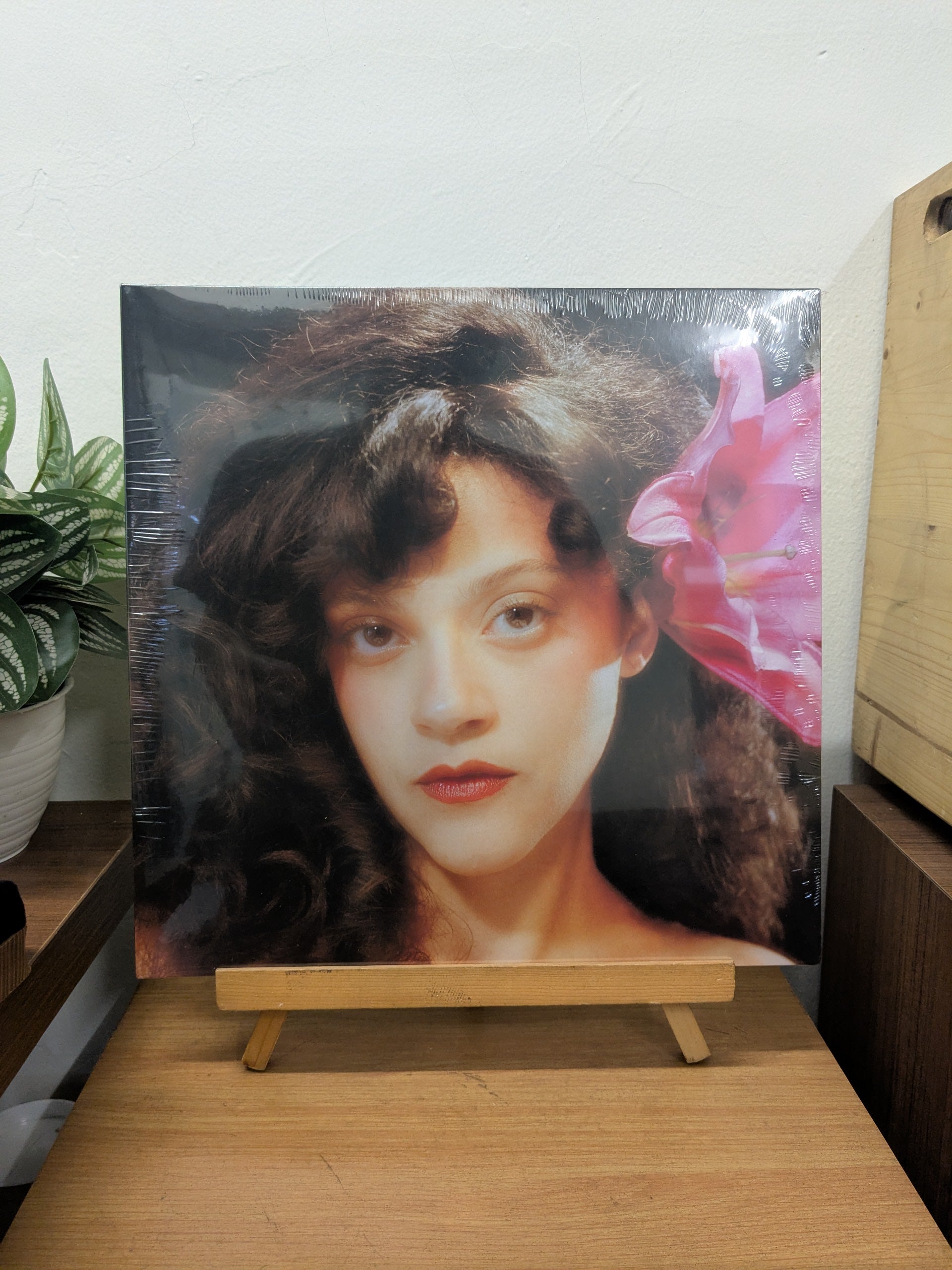 Mia – In The Moonlight ( VINYL / NEW )