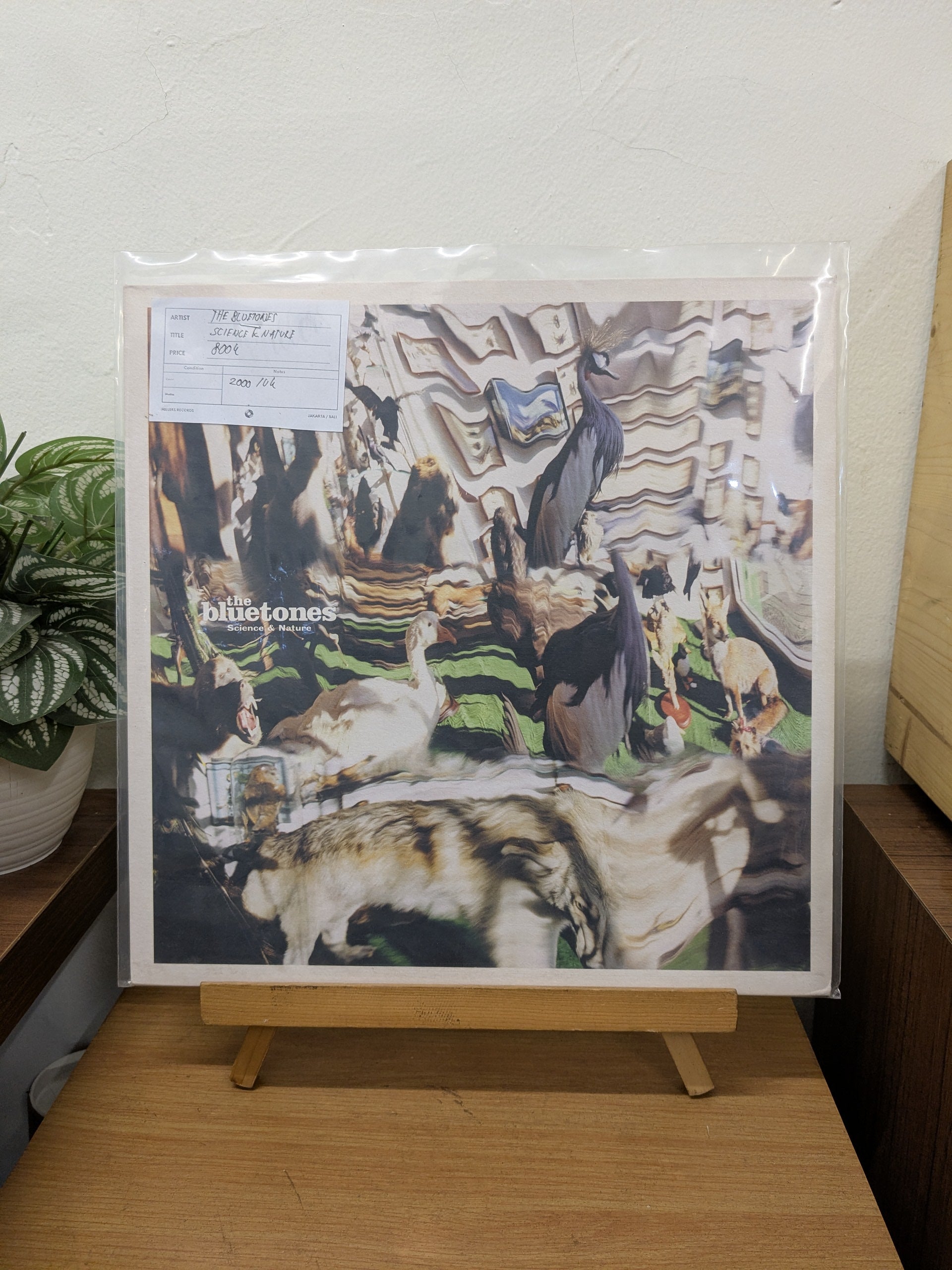 The Bluetones – Science & Nature ( VINYL / USED )