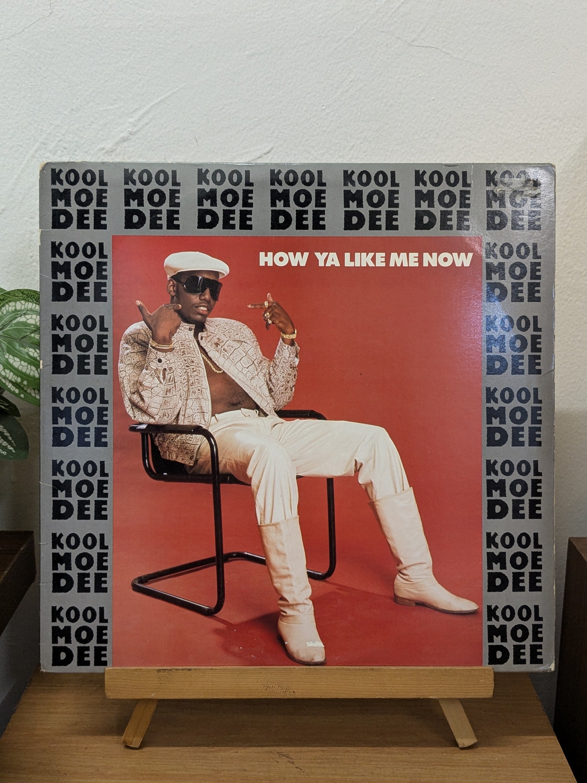 Kool Moe Dee – How Ya Like Me Now ( VINYL / USED )