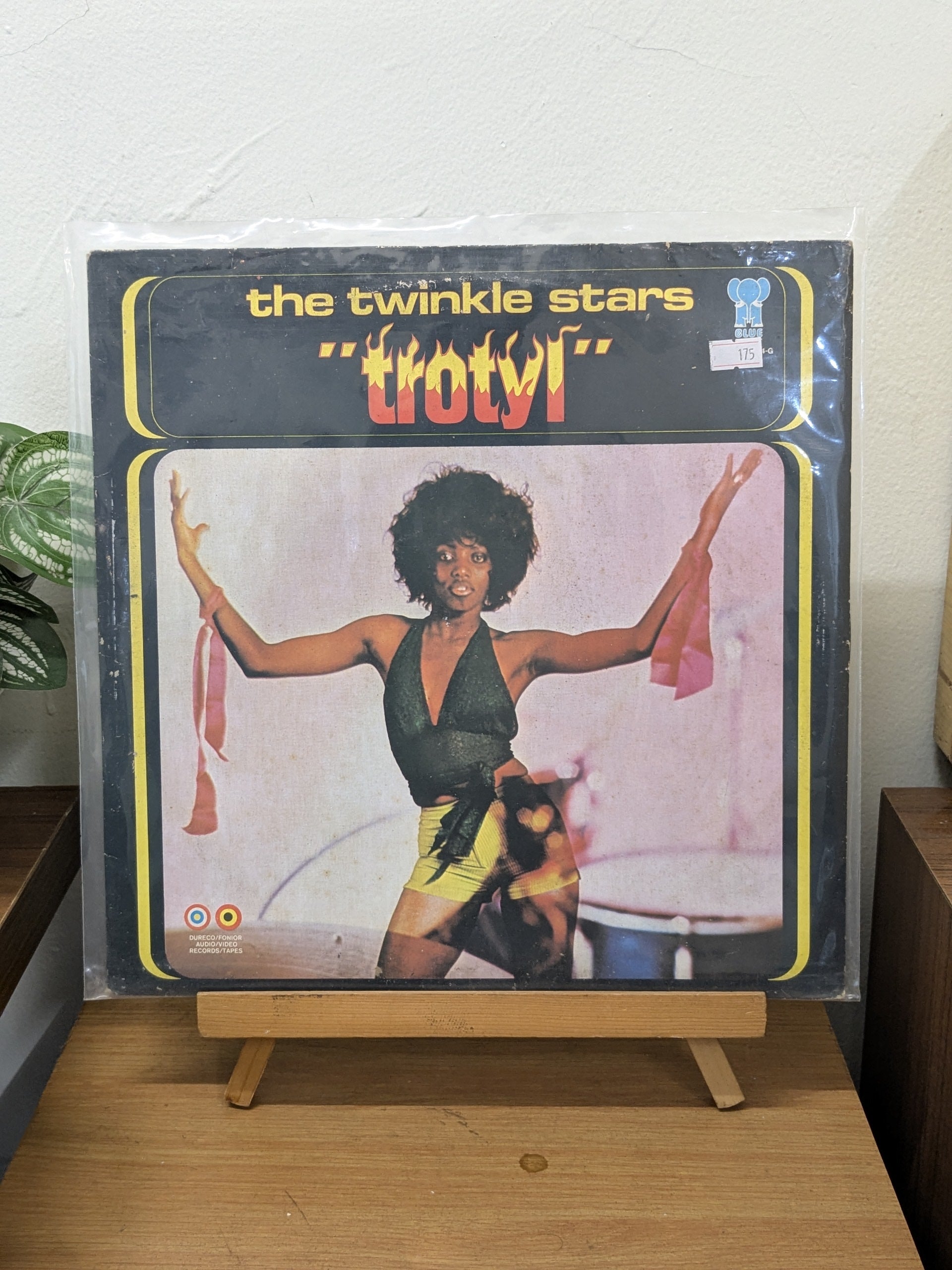 The Twinkle Stars – Trotyl ( VINYL / USED )