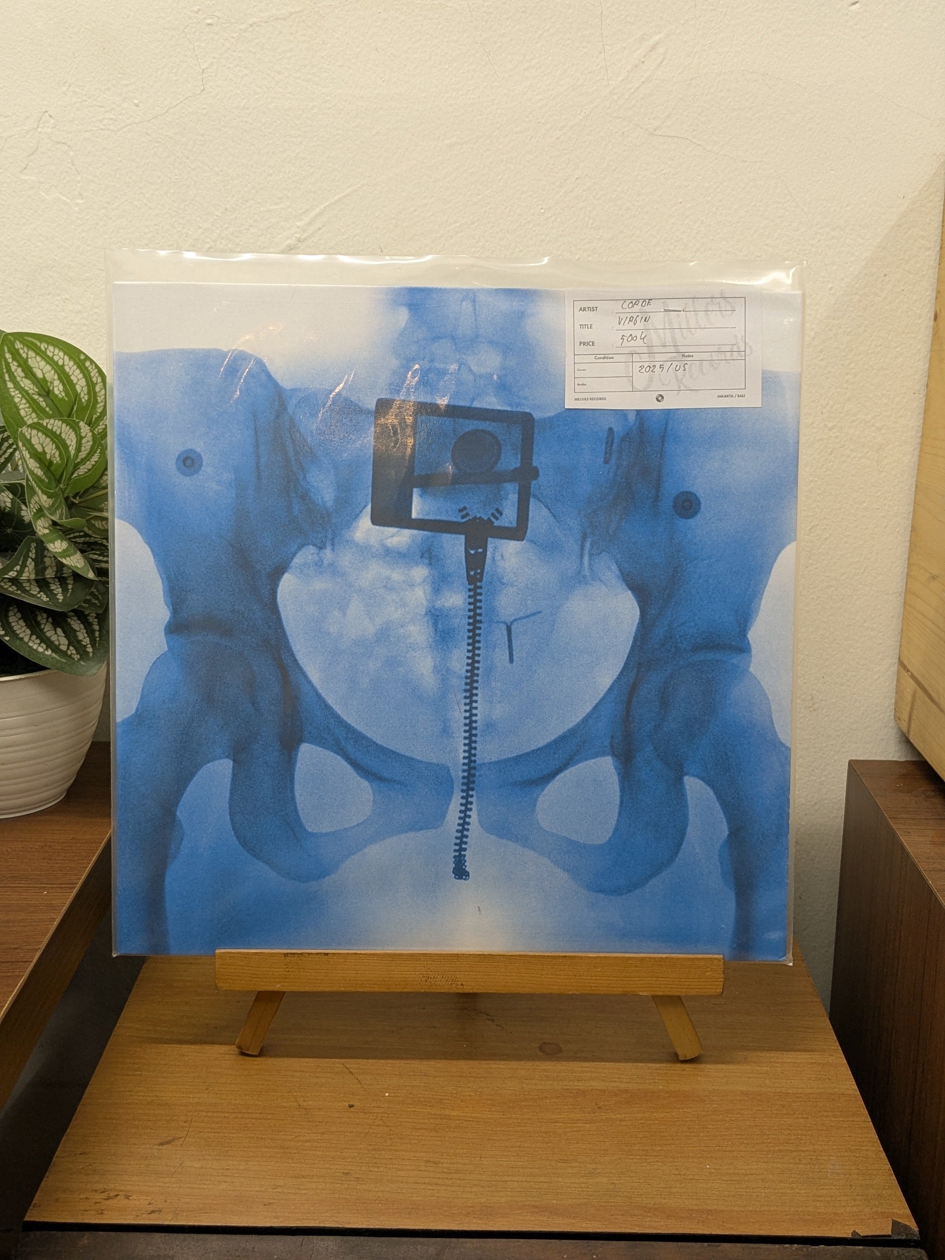 Lorde – Virgin (VINYL / USED)