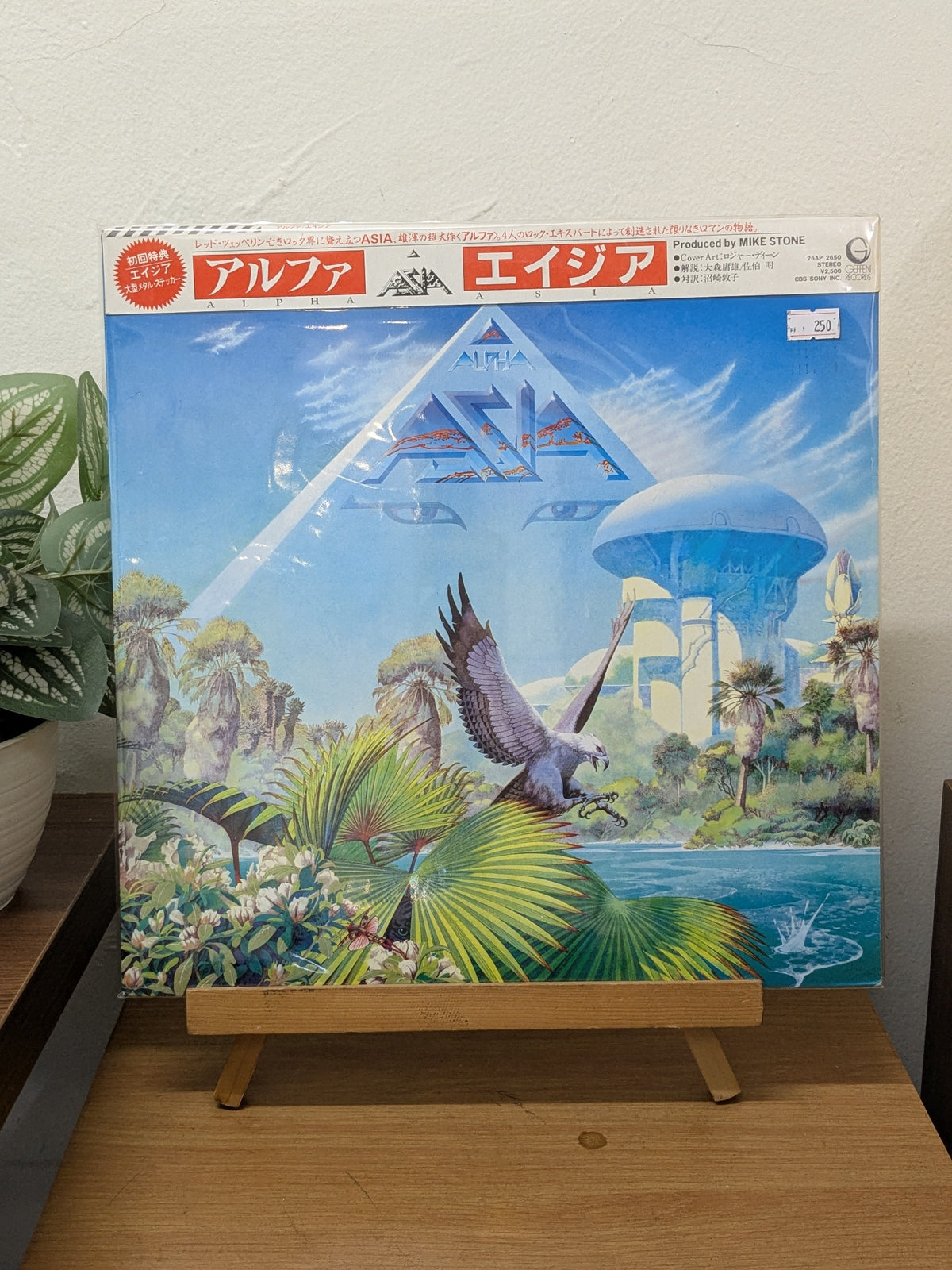 Asia – Alpha ( VINYL / USED )