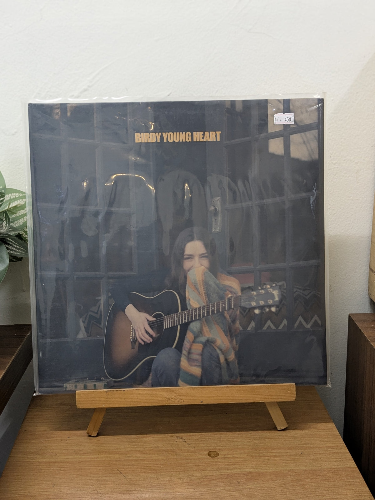 Birdy – Young Heart (VINYL / USED)