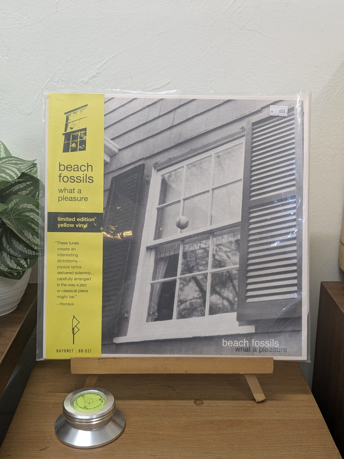 Beach Fossils – What A Pleasure ( VINYL / USED )