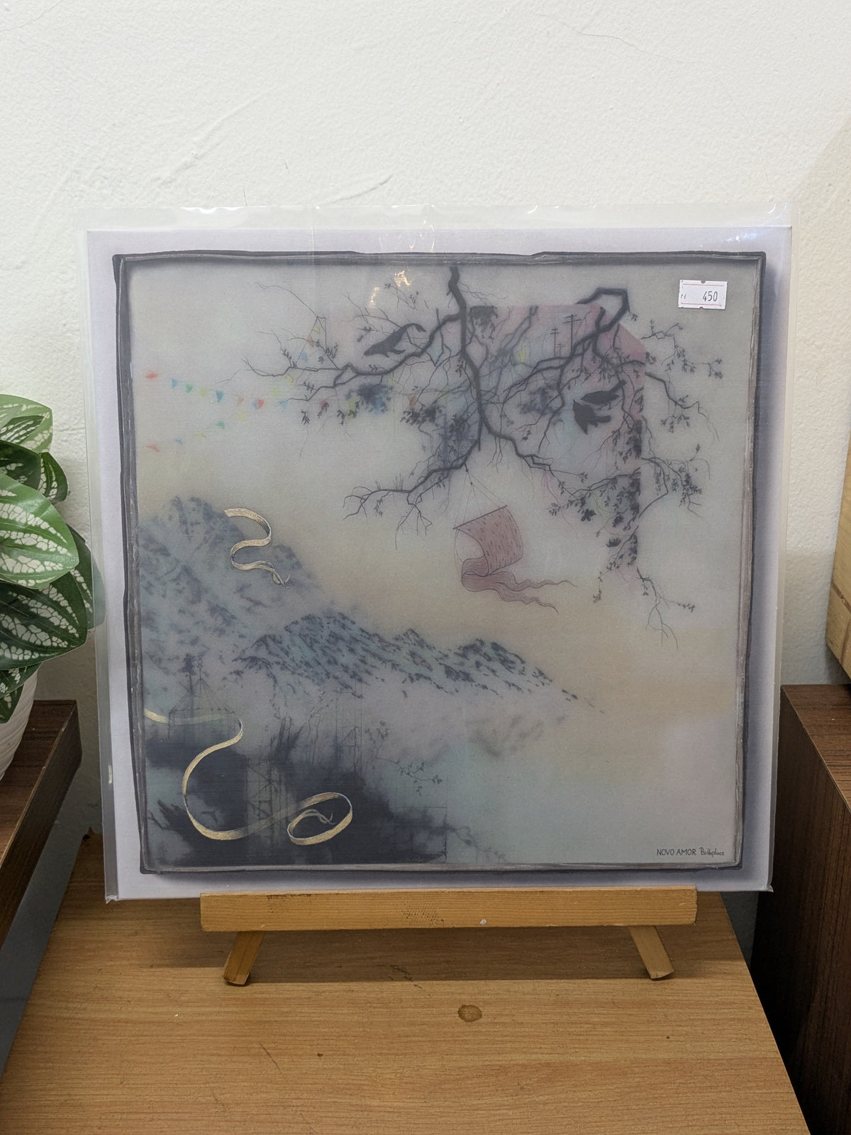 Novo Amor – Birthplace ( VINYL / USED )