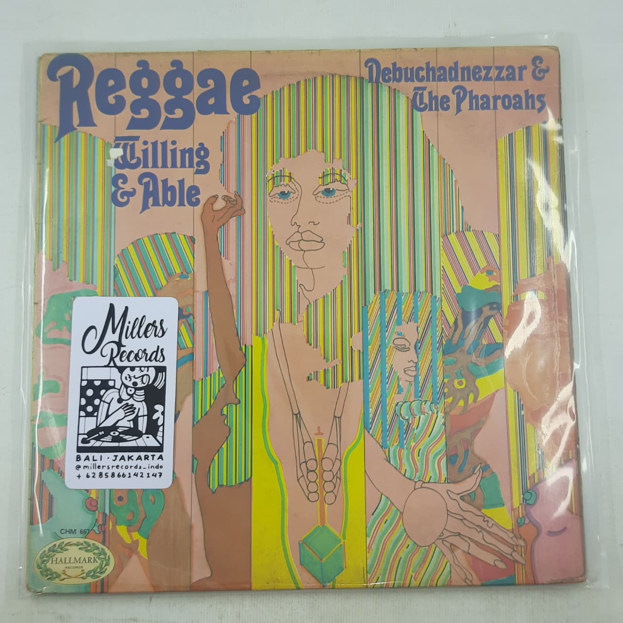 Nebuchadnezzar & The Pharoahs – Reggae, Willing & Able (VINYL / USED)